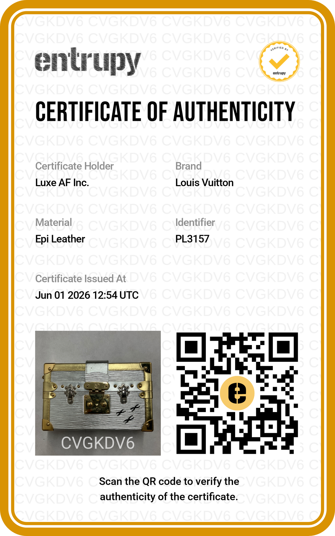 Louis Vuitton Petite Malle Gold/Silver Epi Leather Shoulder Bag LV3009