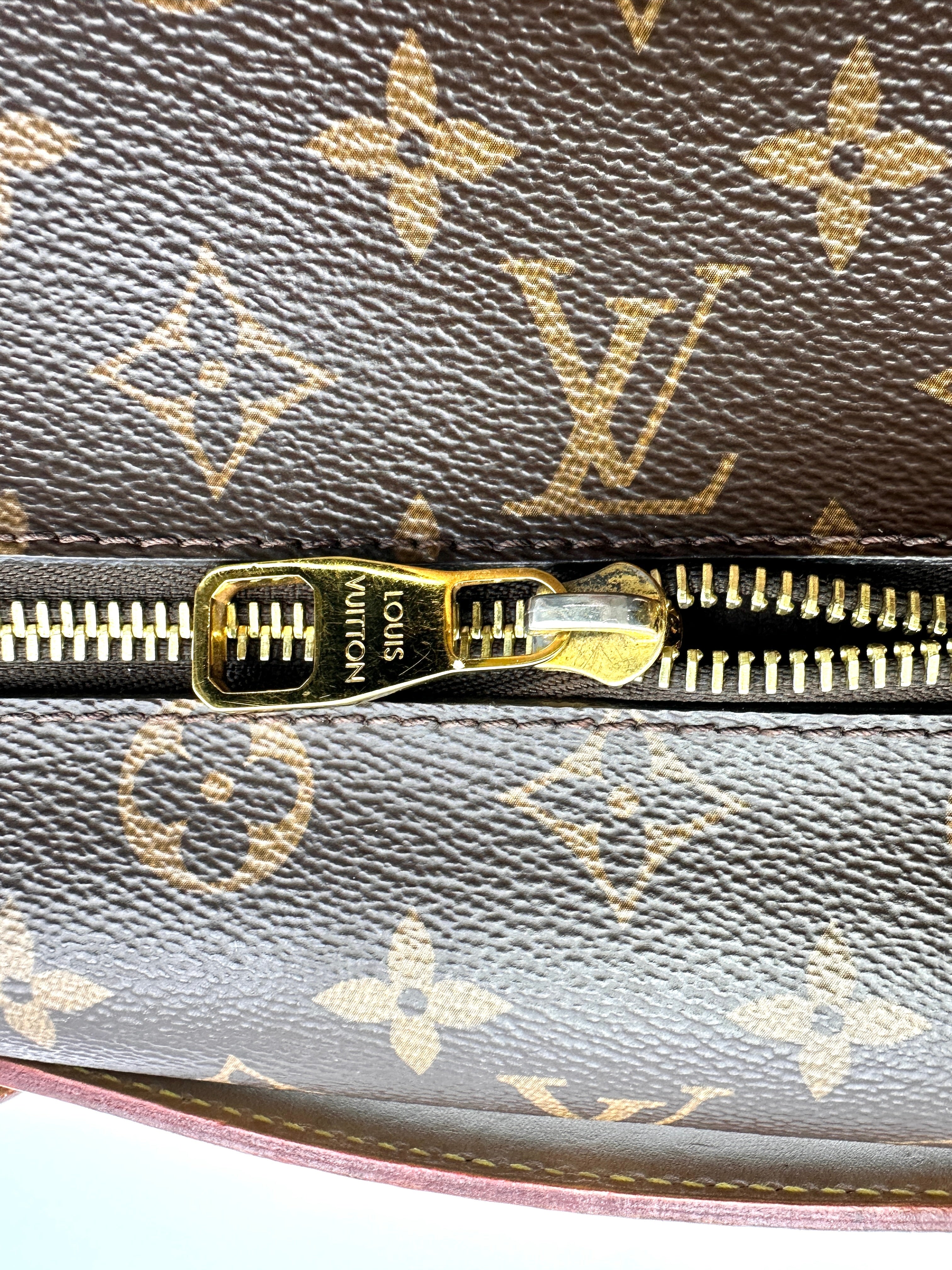 Louis Vuitton Monogram Canvas Pochette Metis LV2910
