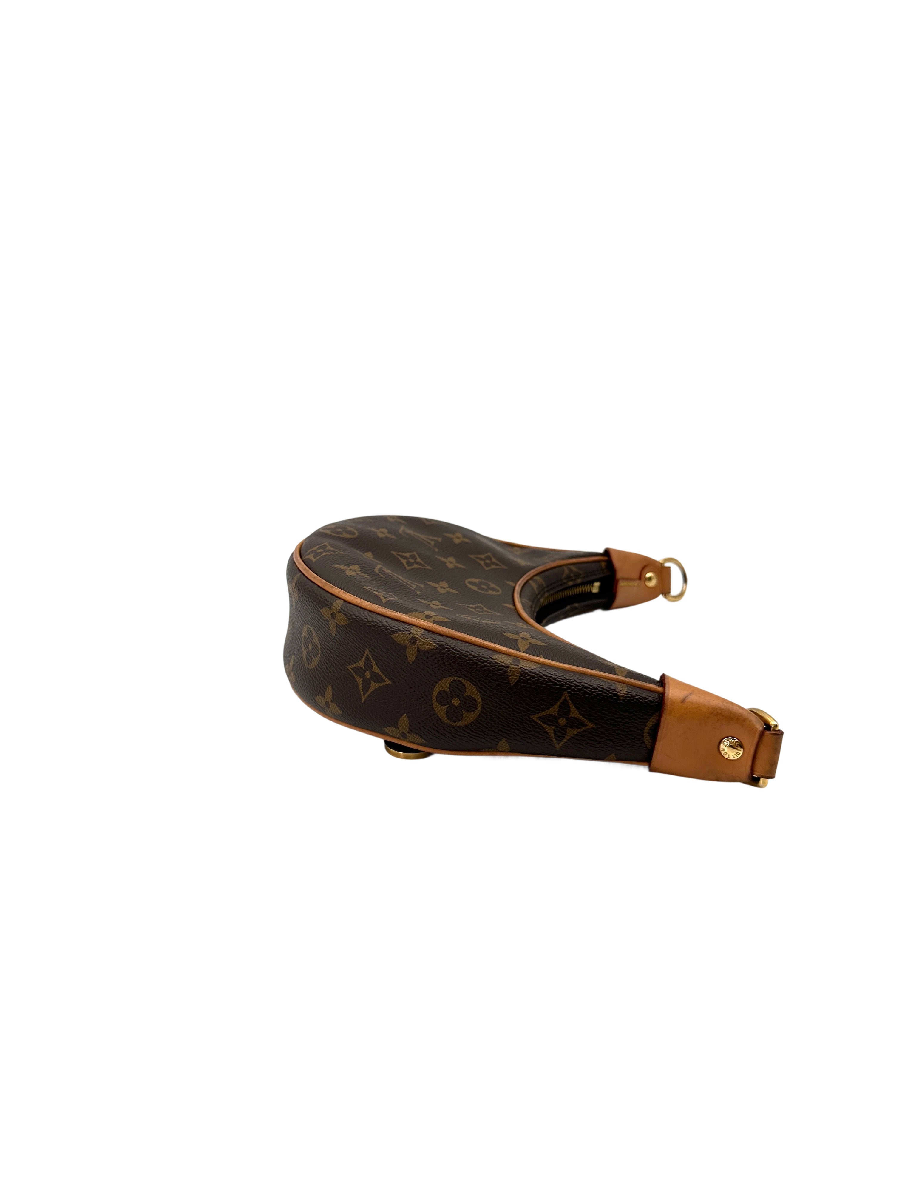 Louis Vuitton Loop Monogram Canvas Shoulder Bag LV2915