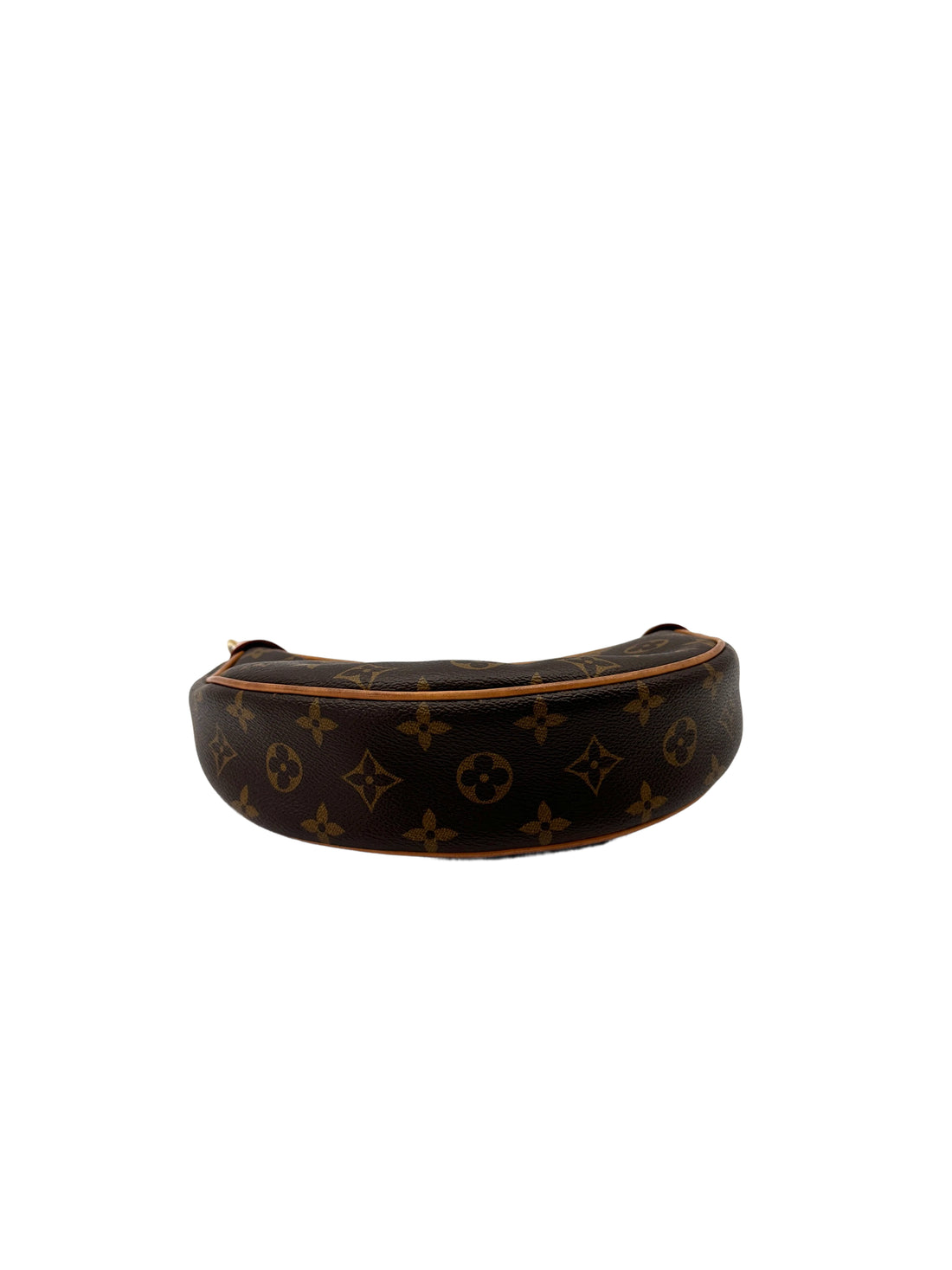 Louis Vuitton Loop Monogram Canvas Shoulder Bag LV2915
