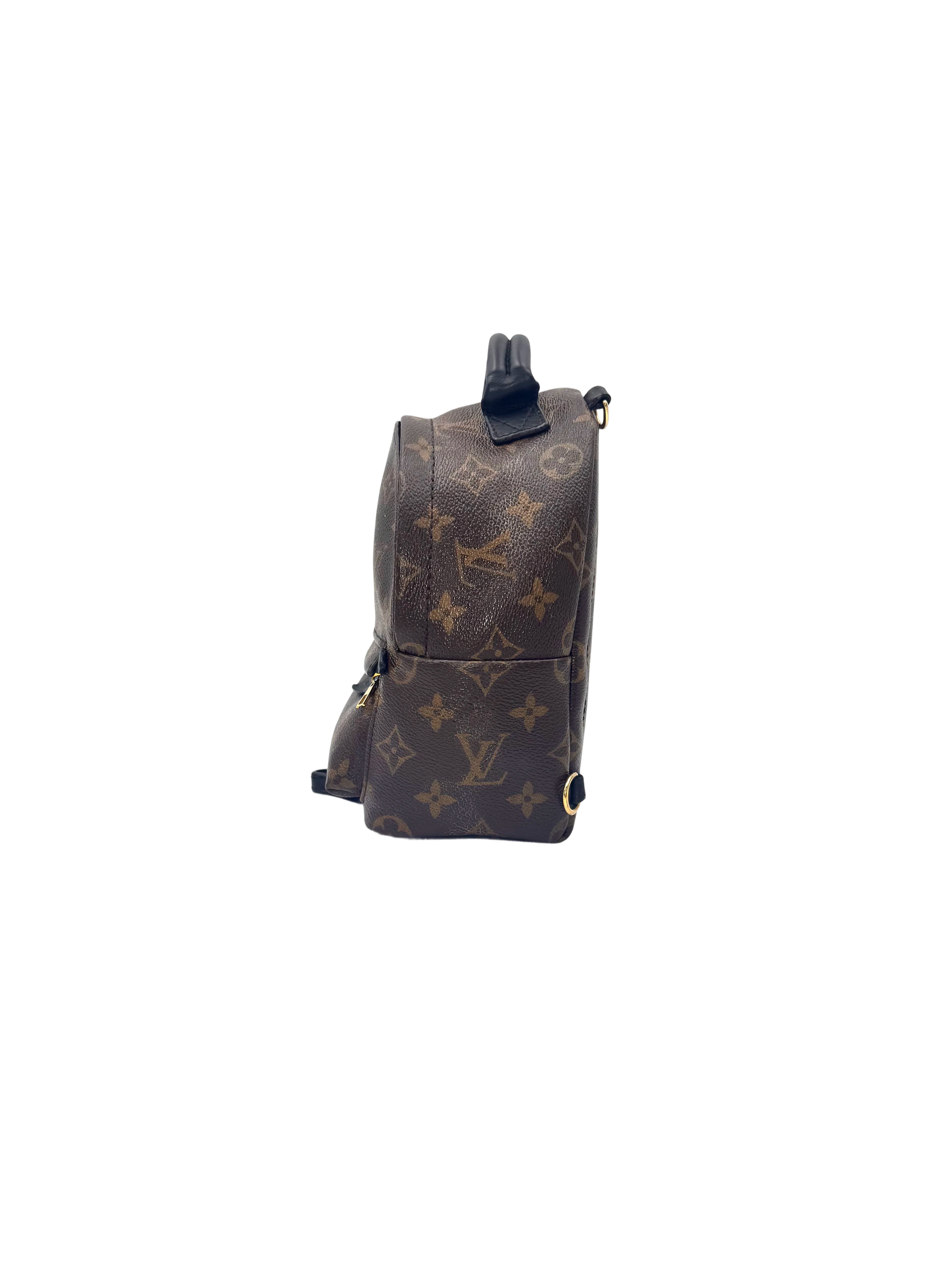 Louis Vuitton Palm Springs Monogram Canvas Backpack LV2968