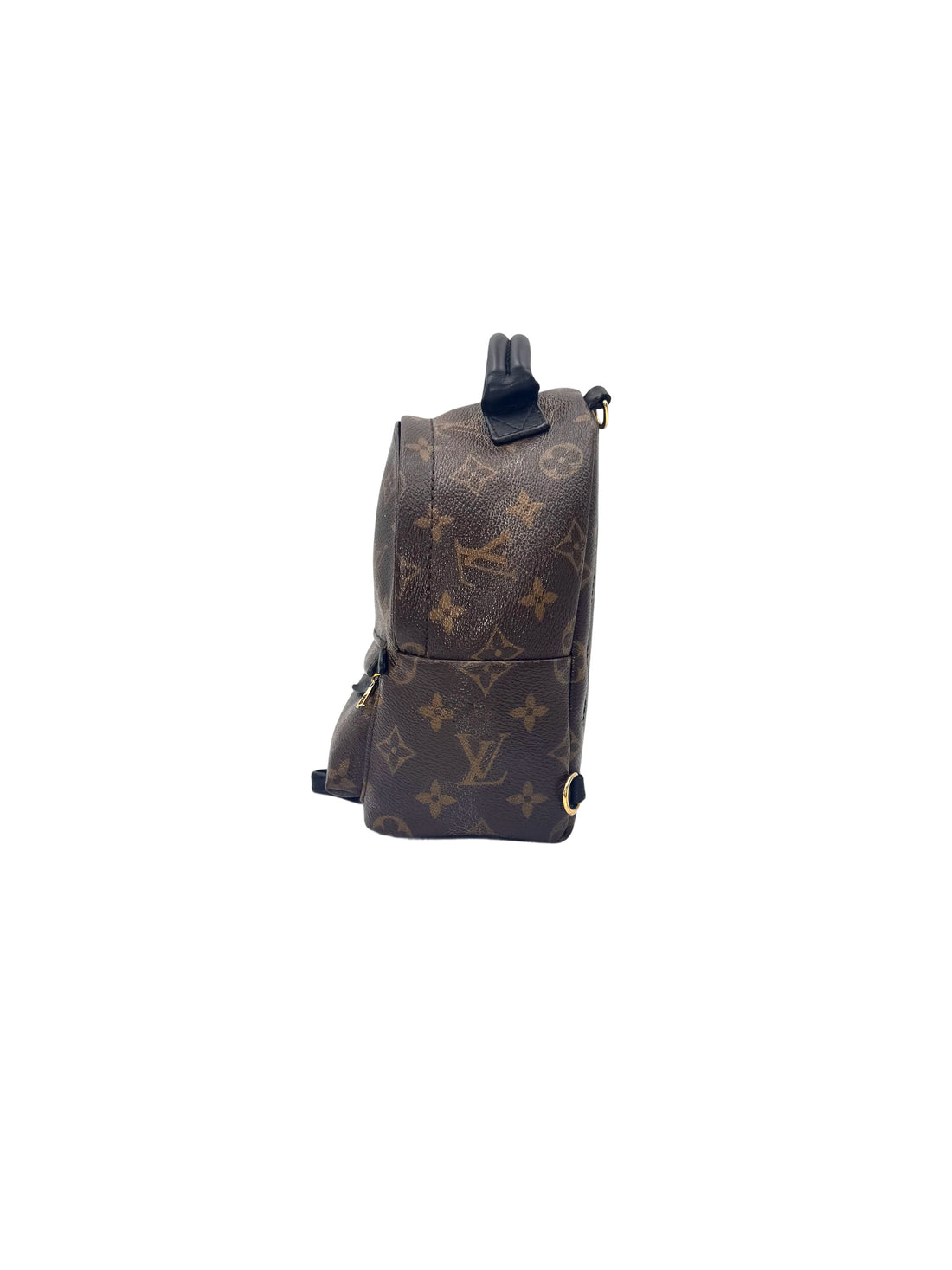 Louis Vuitton Palm Springs Monogram Canvas Backpack LV2968