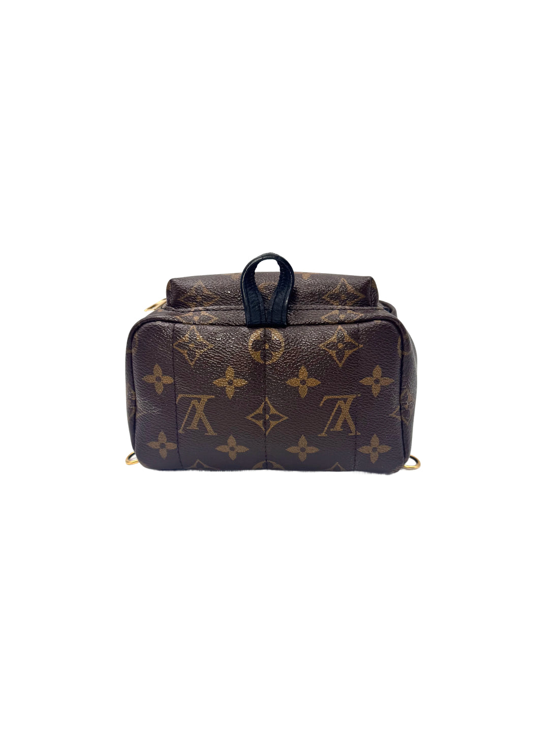 Louis Vuitton Palm Springs Monogram Canvas Backpack LV2968