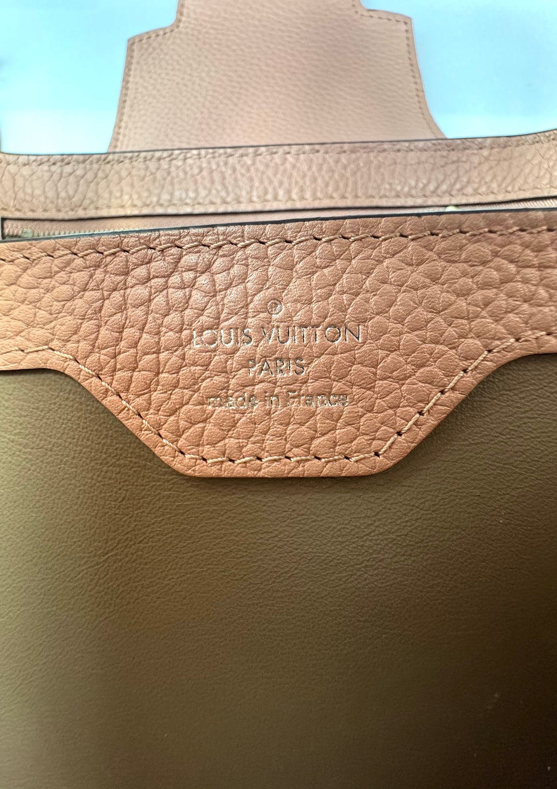 Louis Vuitton Capucines Pink Leather Handle Bag LV2969