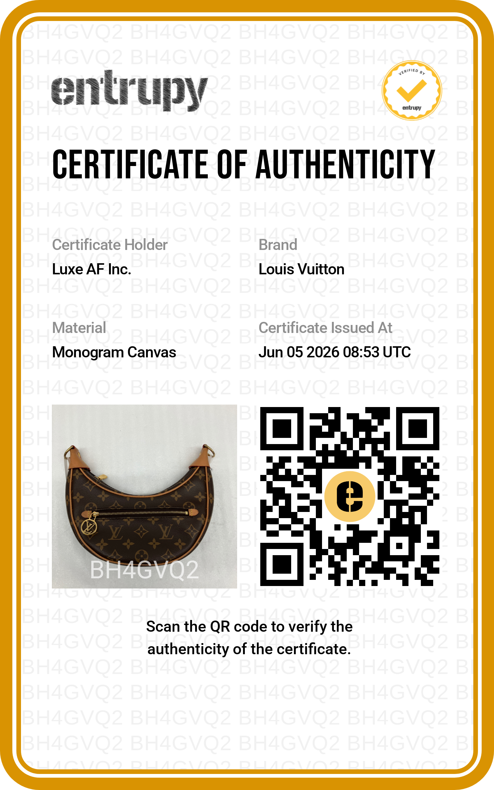 Louis Vuitton Loop Monogram Canvas Shoulder Bag LV2964