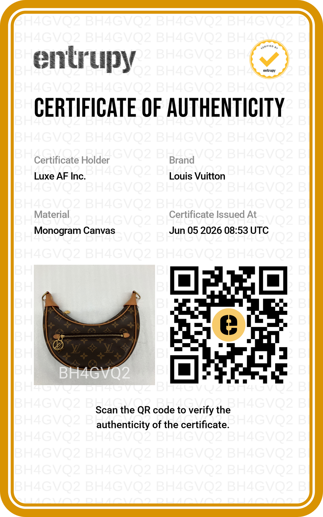 Louis Vuitton Loop Monogram Canvas Shoulder Bag LV2964