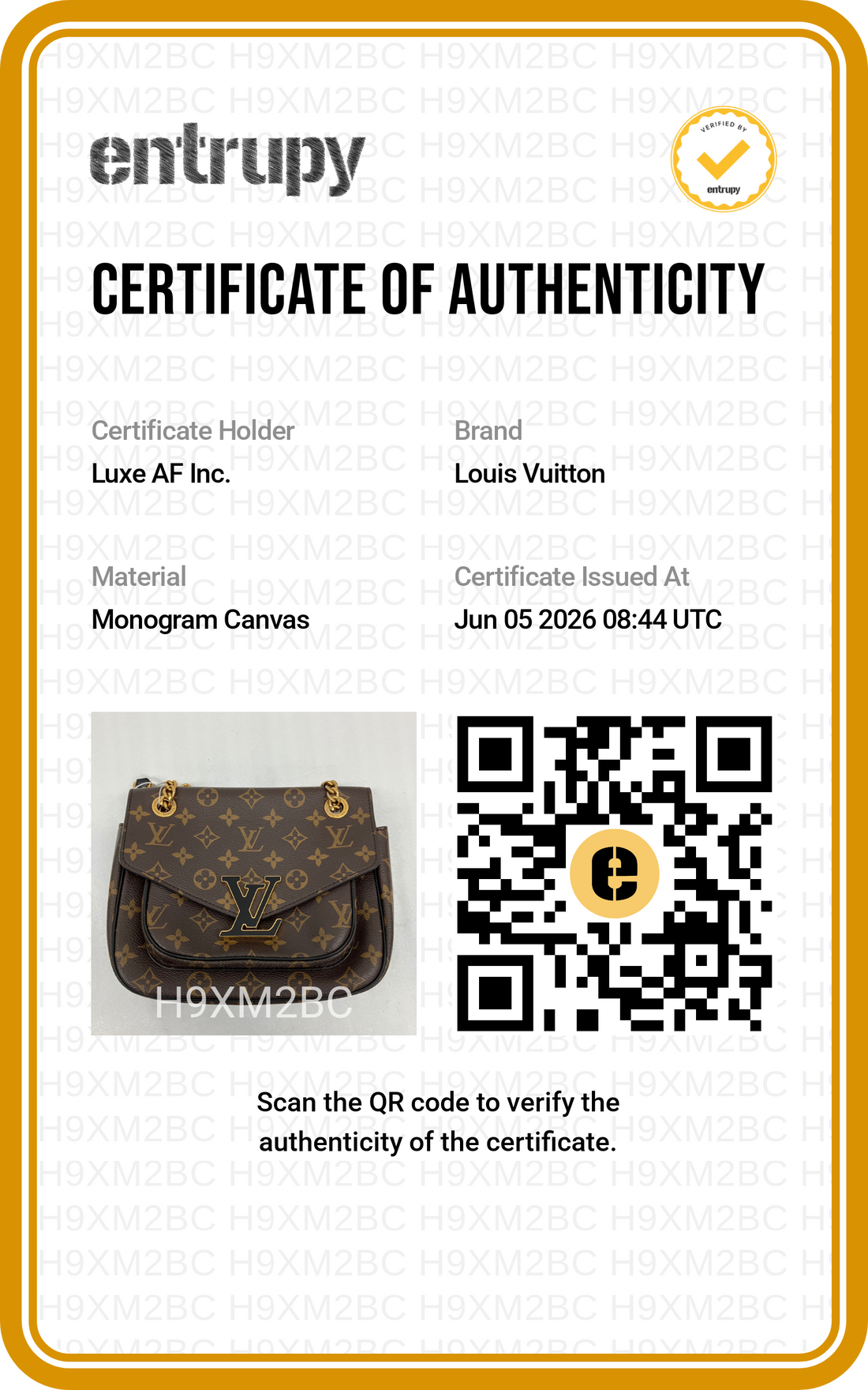 Louis Vuitton Passy Monogram Canvas Chain Shoulder Bag LV2962