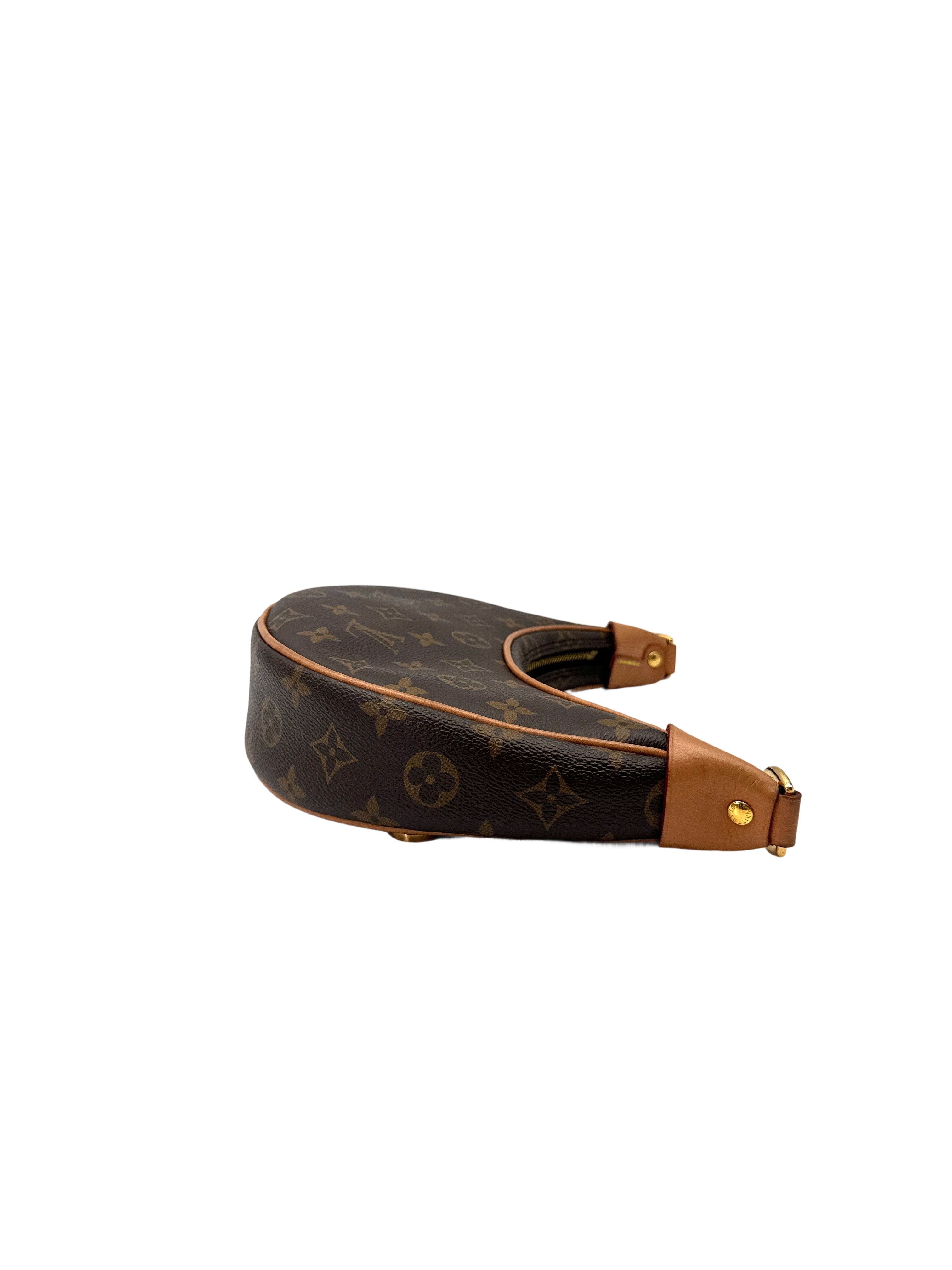 Louis Vuitton Loop Monogram Canvas Shoulder Bag LV2963