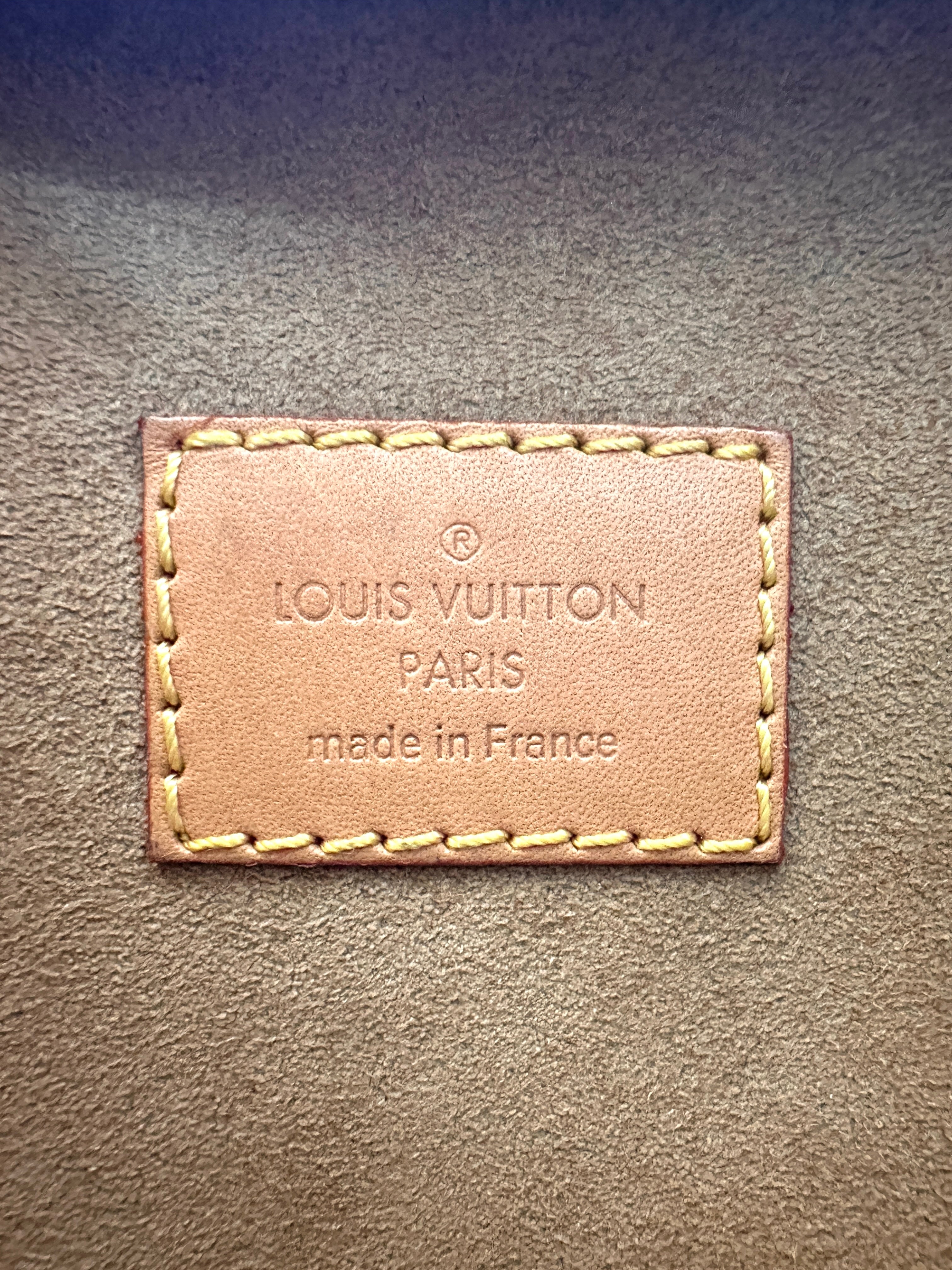 Louis Vuitton Loop Monogram Canvas Shoulder Bag LV2964
