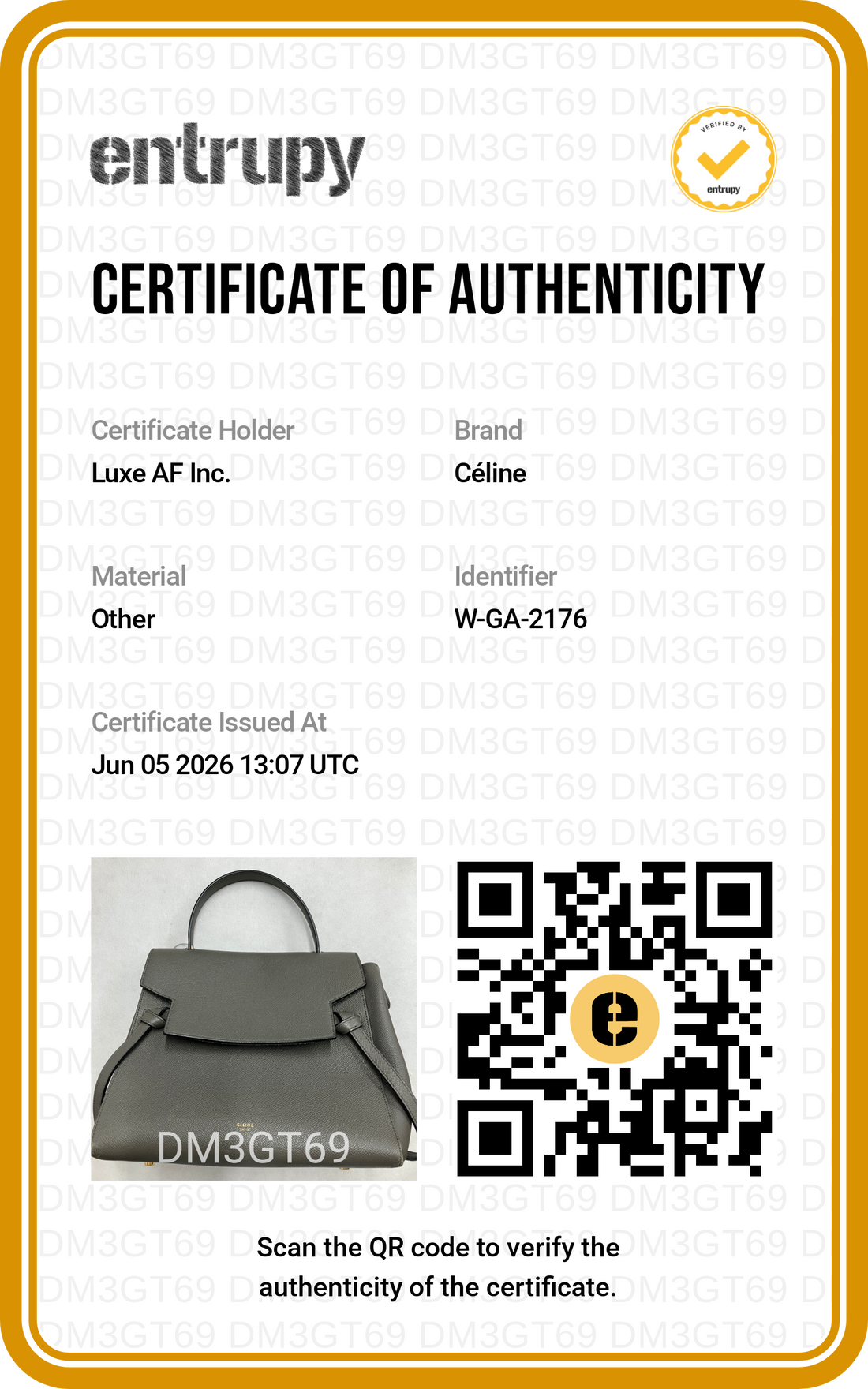 Celine Grey Leather Belt Handle Bag CE180