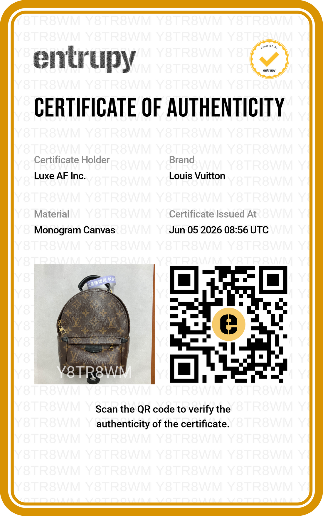 Louis Vuitton Palm Springs Monogram Canvas Backpack LV2968