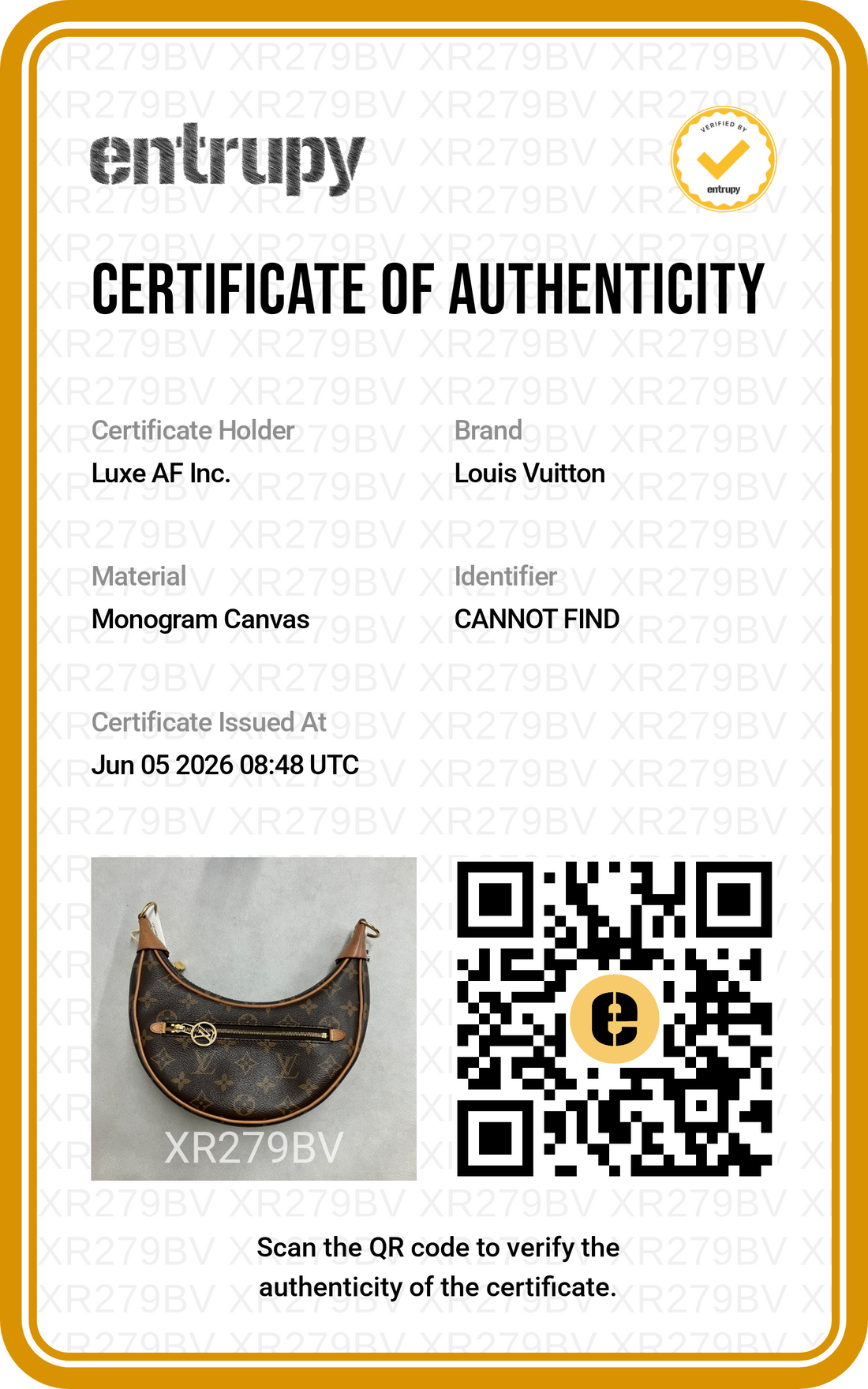 Louis Vuitton Loop Monogram Canvas Shoulder Bag LV2966