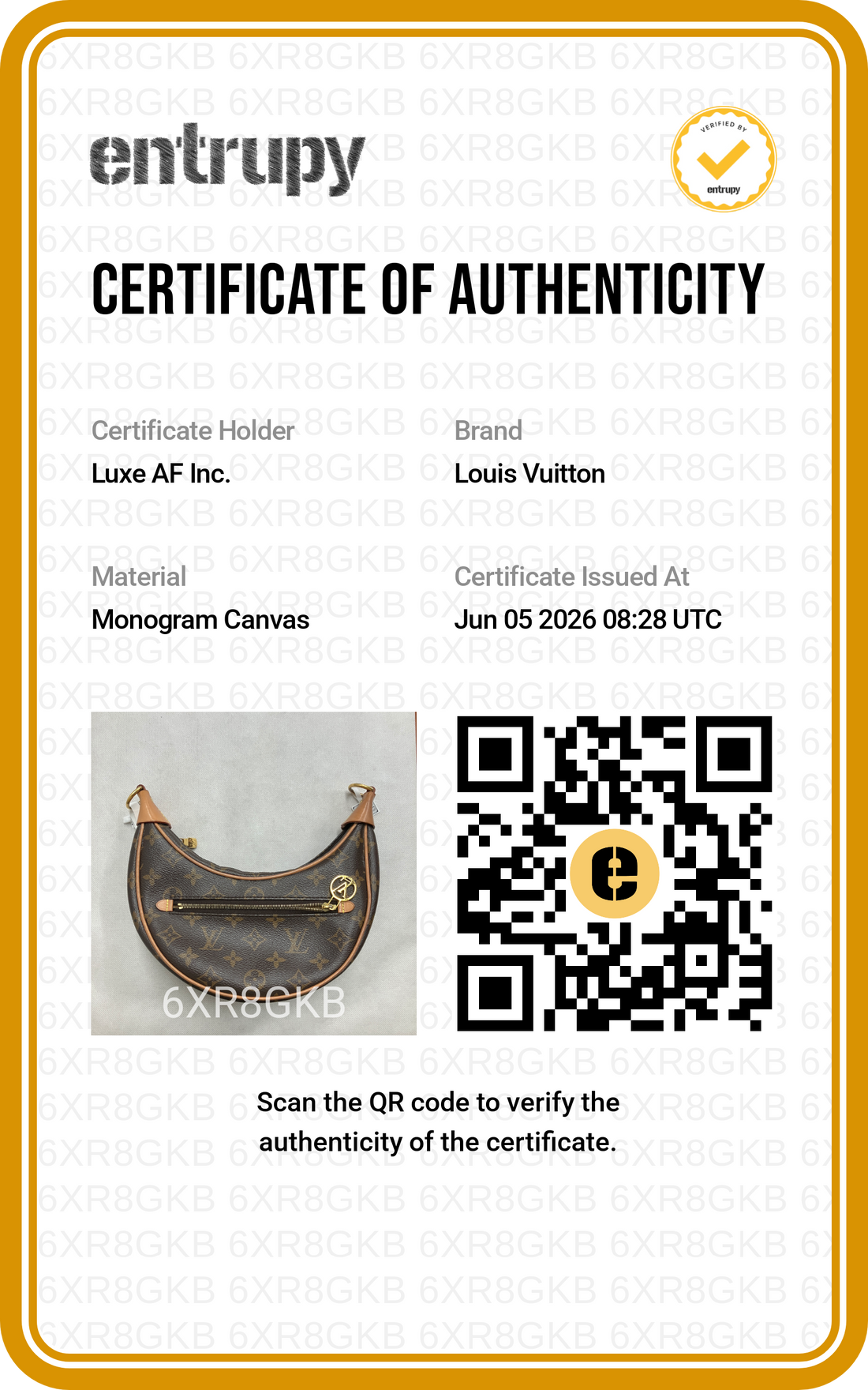Louis Vuitton Loop Monogram Canvas Shoulder Bag LV2960
