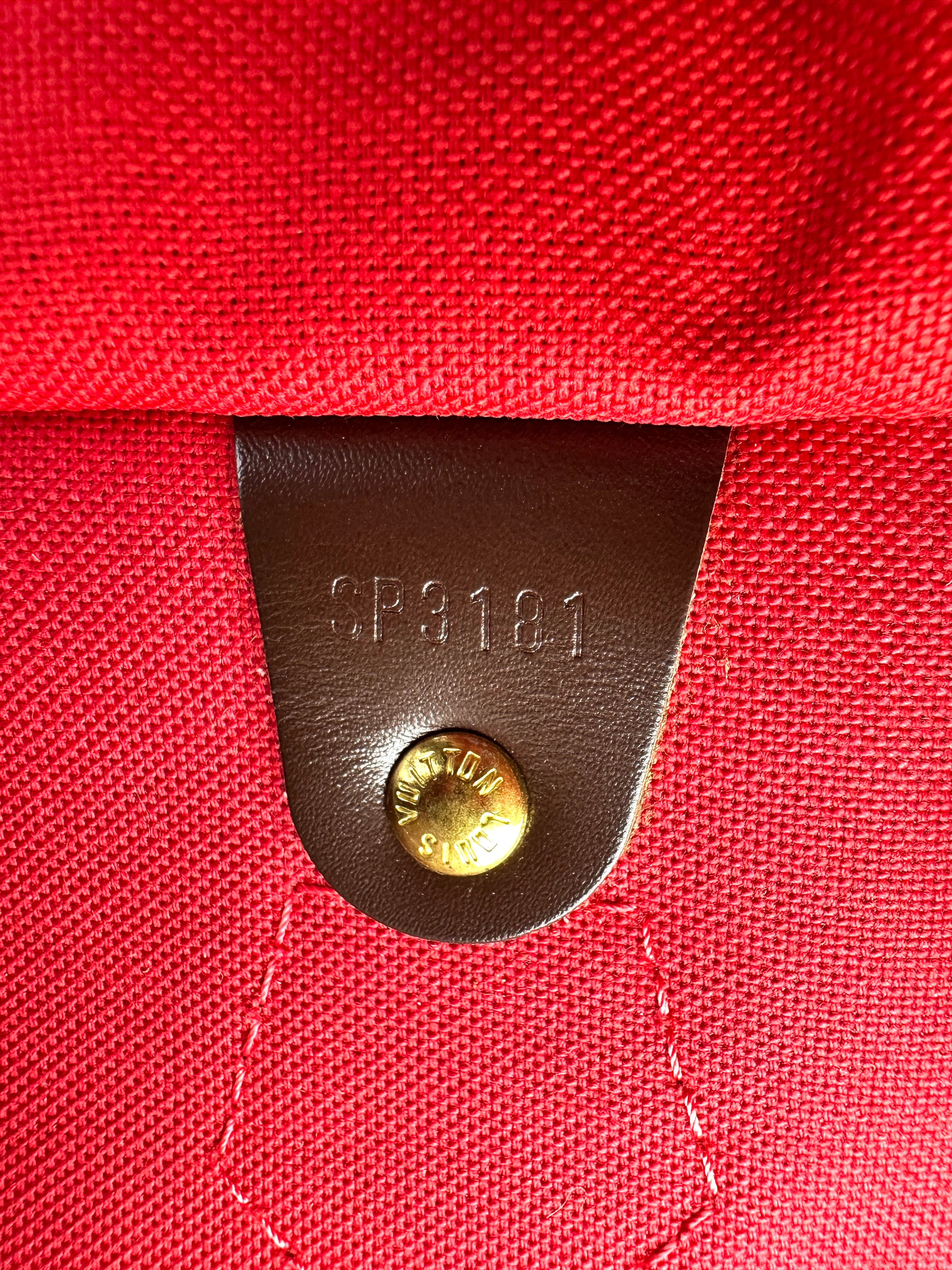 Louis Vuitton Speedy30 Damier Ebene Handle Bag LV2976