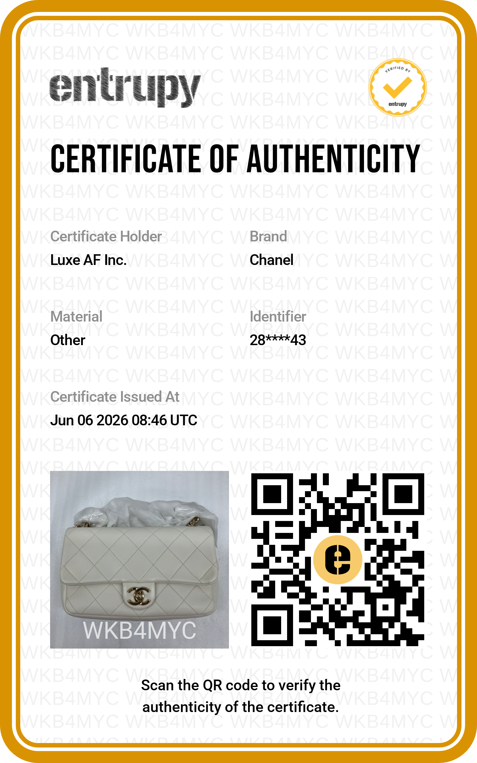Chanel White Quilted Leather Flap Bag With Acetate & Metal Chunky Chain(28***43) CC2126