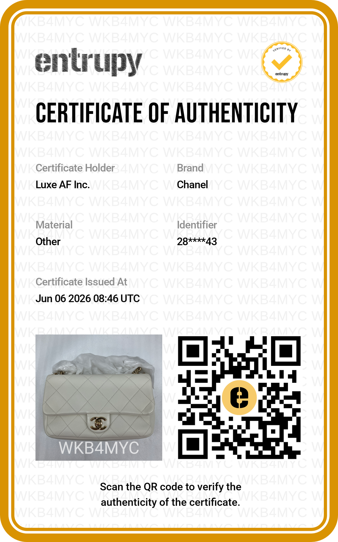 Chanel White Quilted Leather Flap Bag With Acetate & Metal Chunky Chain(28***43) CC2126