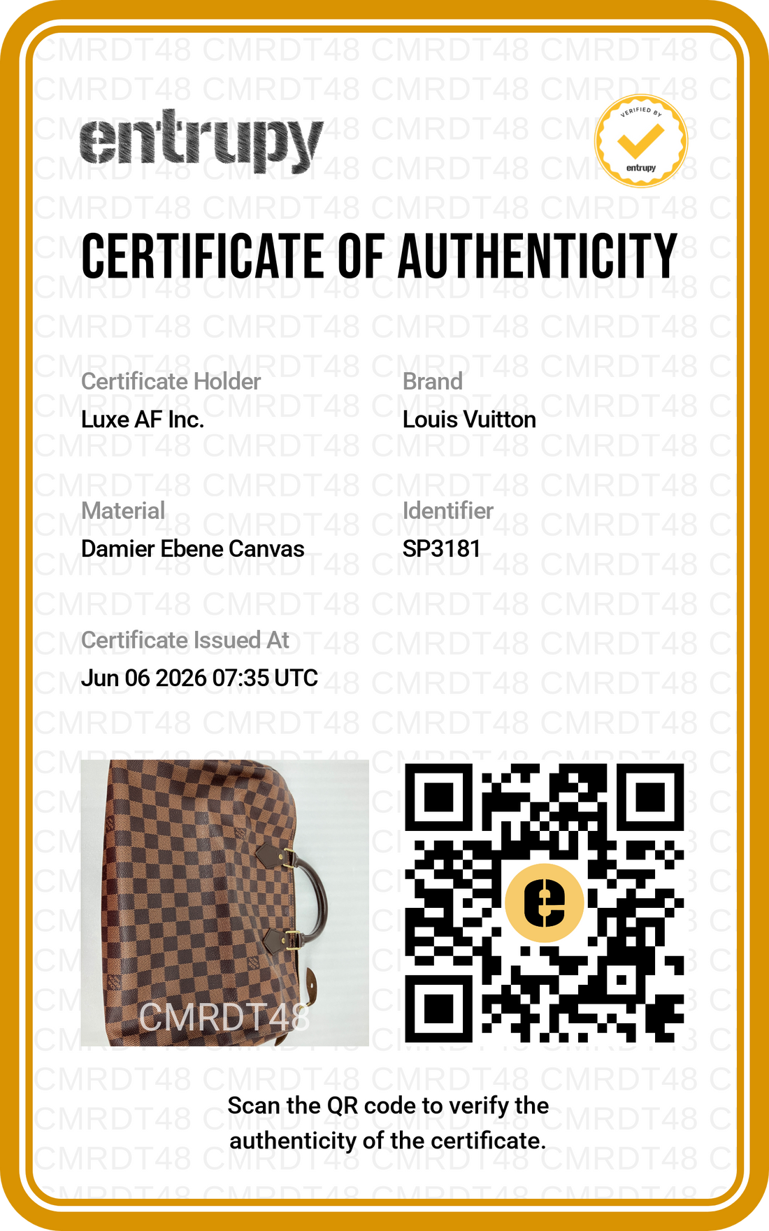 Louis Vuitton Speedy30 Damier Ebene Handle Bag LV2976