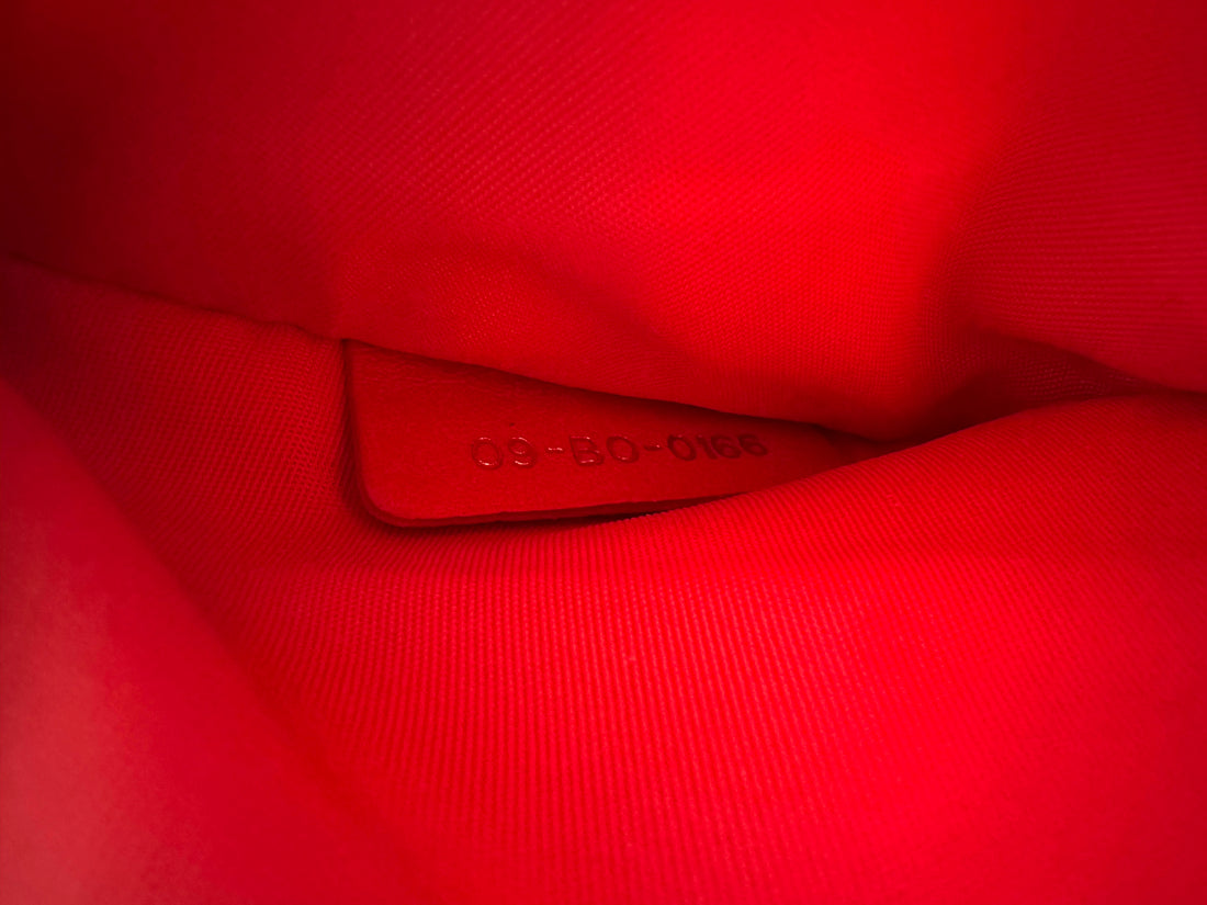Christian Dior Diorama Orange Leather Wallet On Chain DR786