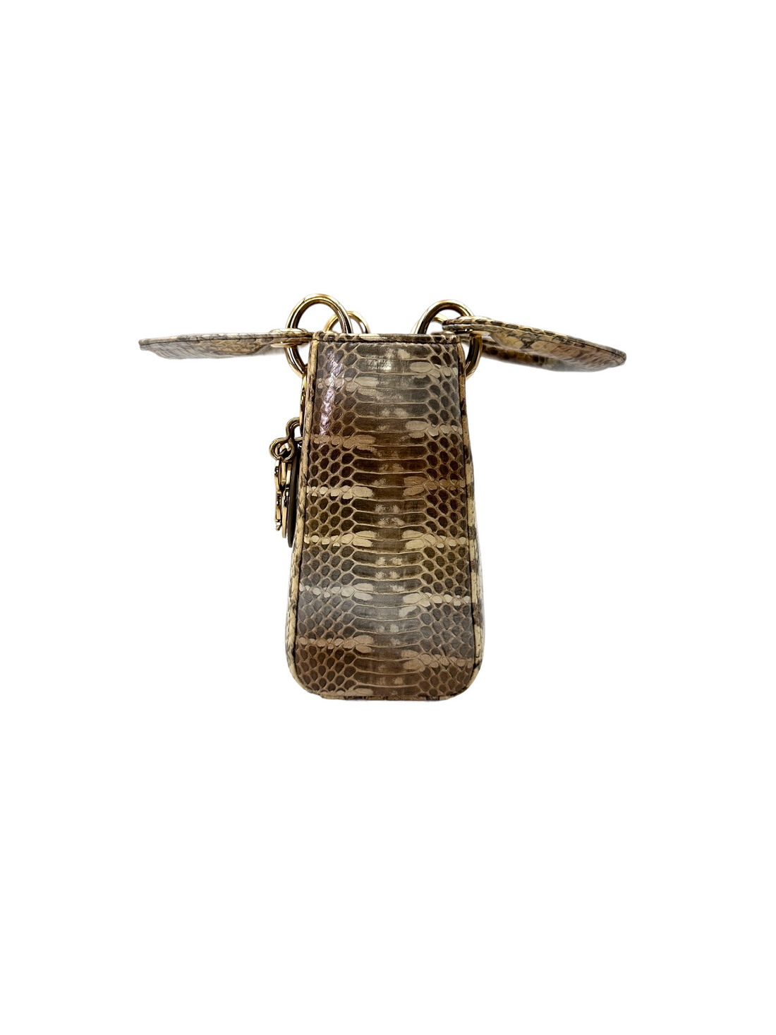 Christian Dior Lady Dior Multicolor Python Leather Handle Bag With Gold Charms DR791