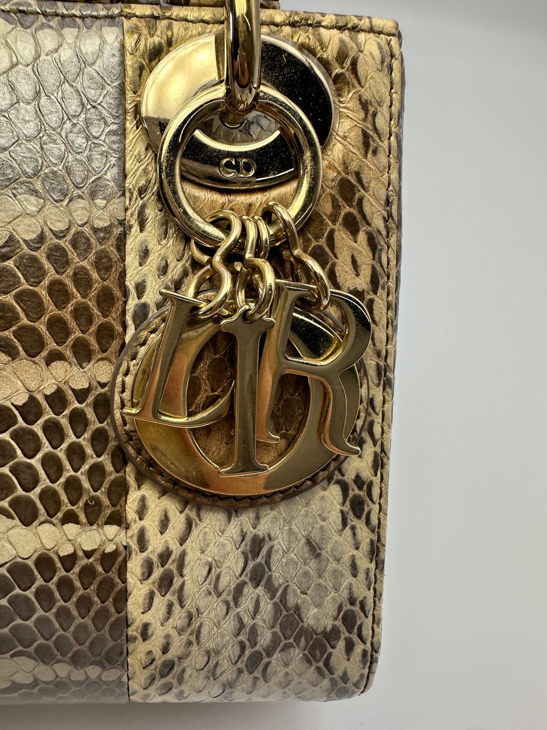 Christian Dior Lady Dior Multicolor Python Leather Handle Bag With Gold Charms DR791
