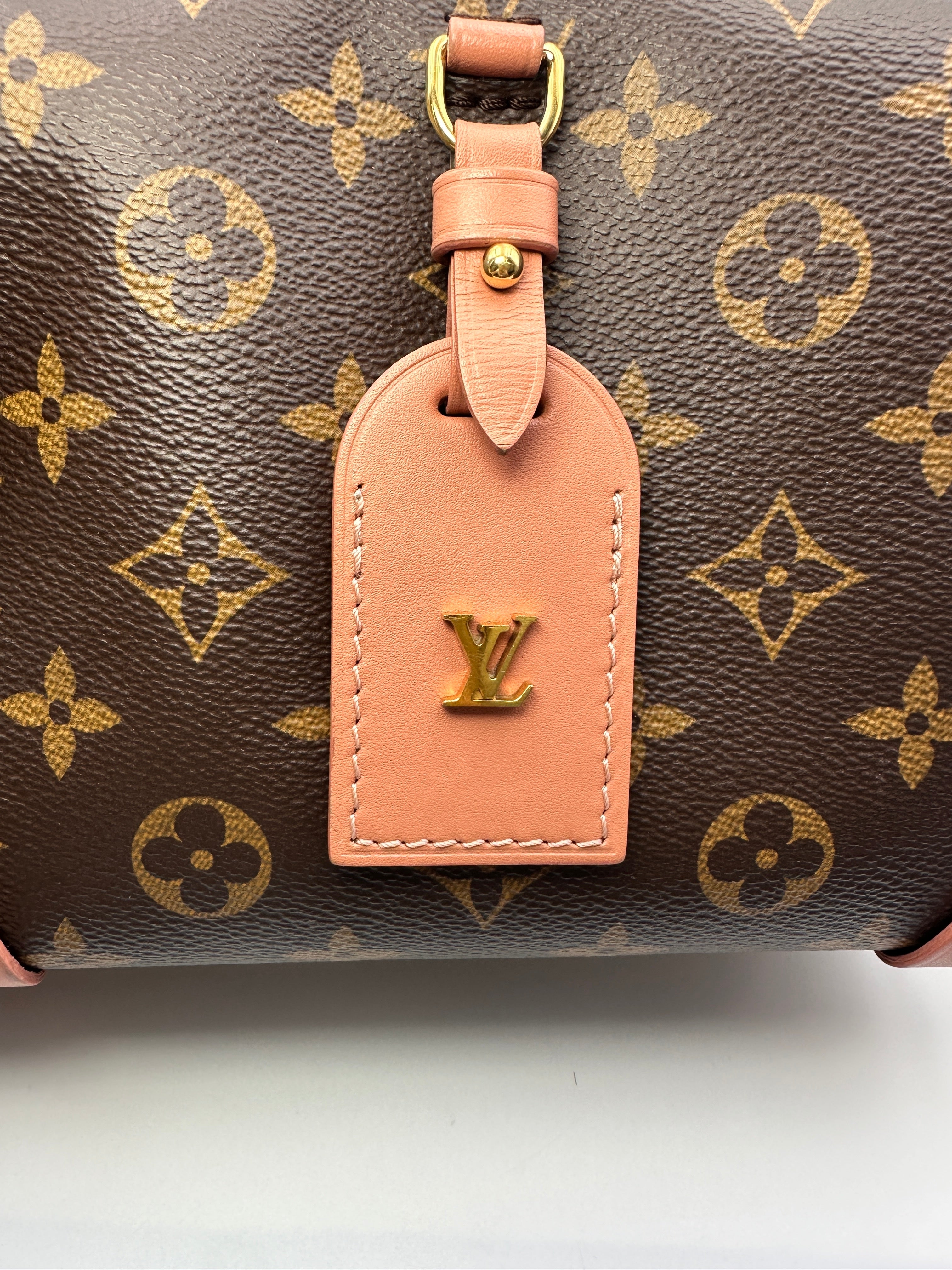 Louis Vuitton Petite Malle Souple Monogram Empreinte & Pink Leather Handle Bag LV2991