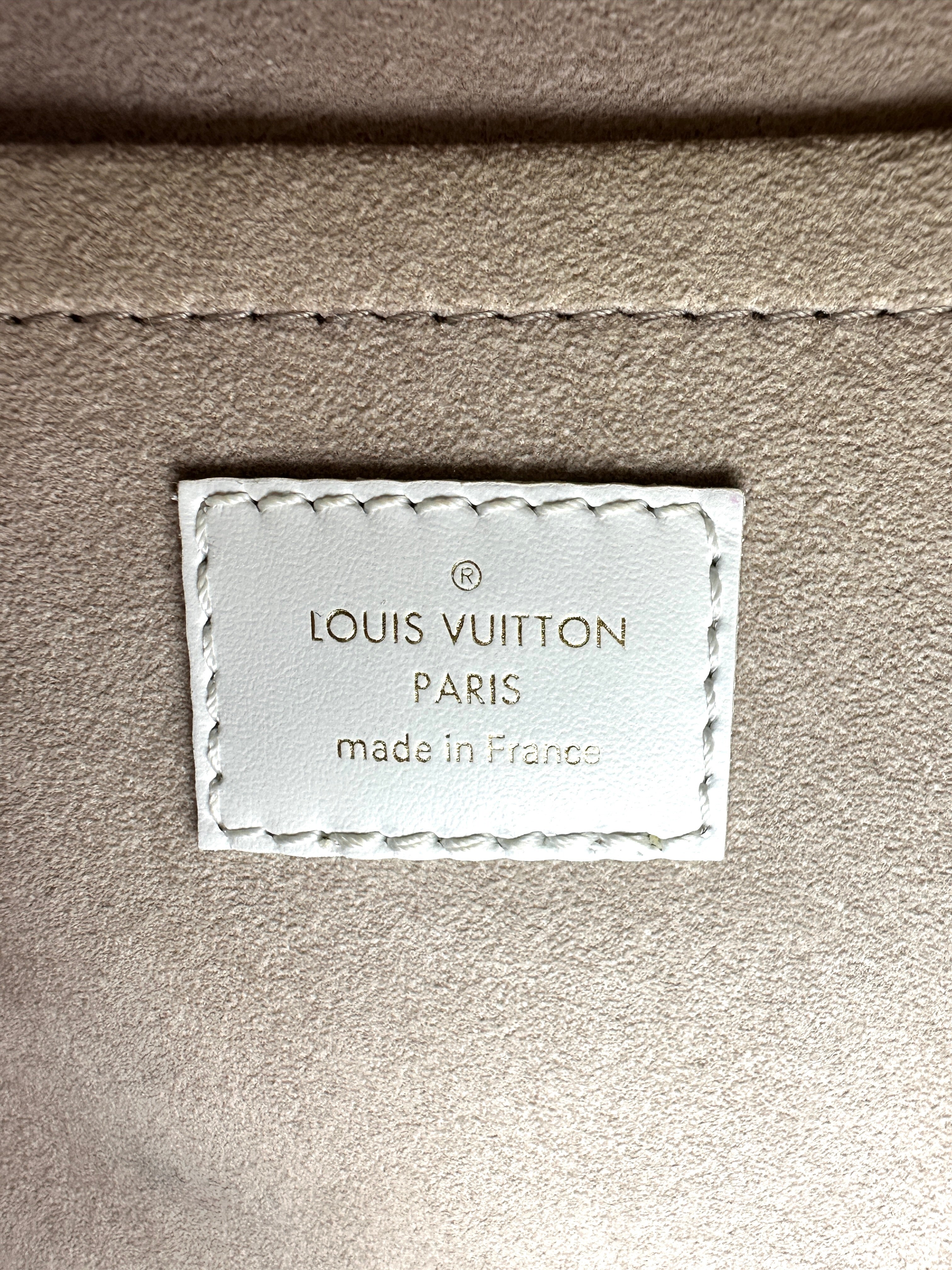 Louis Vuitton Speedy20 Blue/White Monogram Jacquard Handle Bag LV2992
