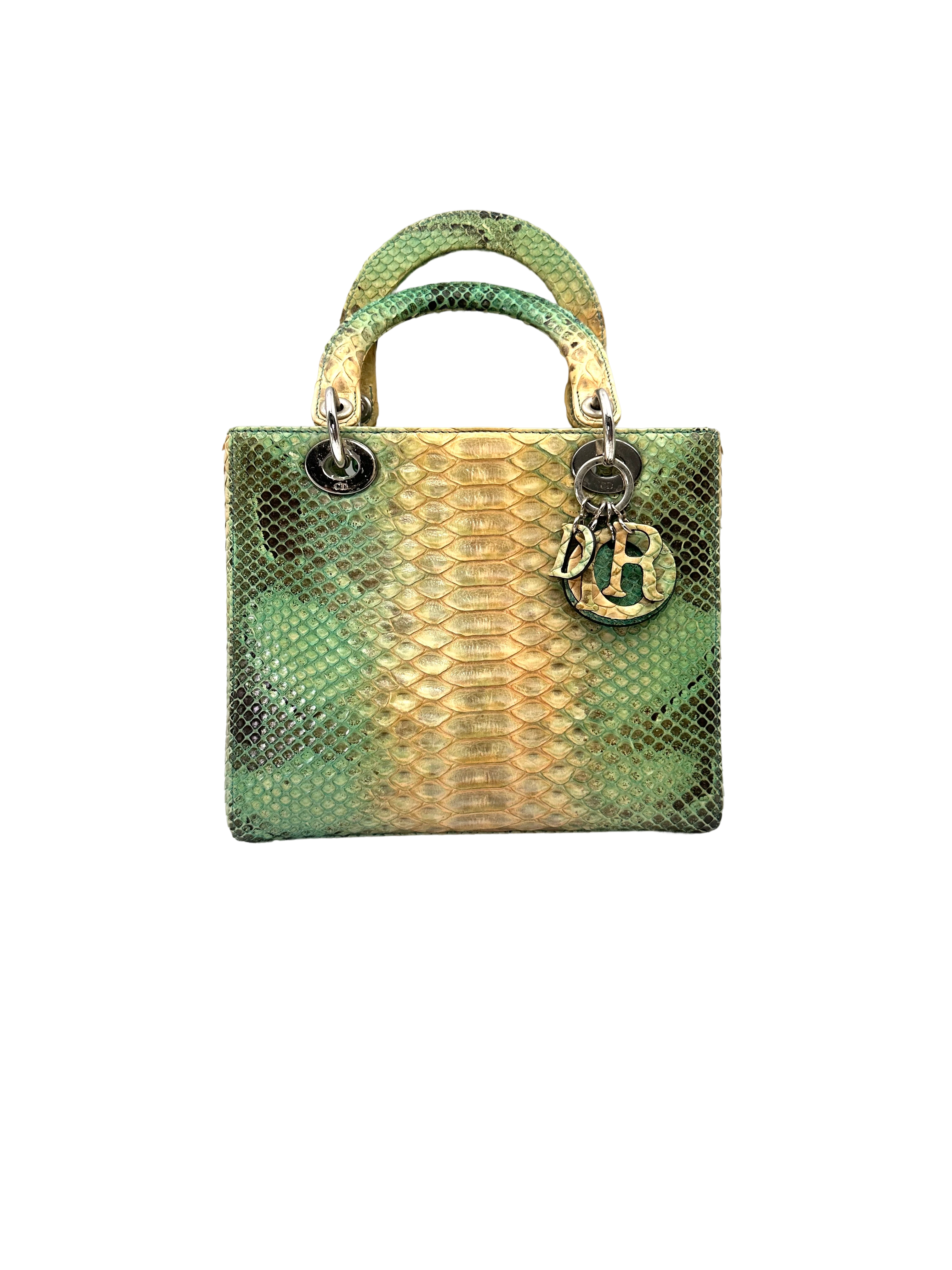 Christian Dior Lady Dior Green Gradient Python Leather Handle Bag With Silver Charms DR792