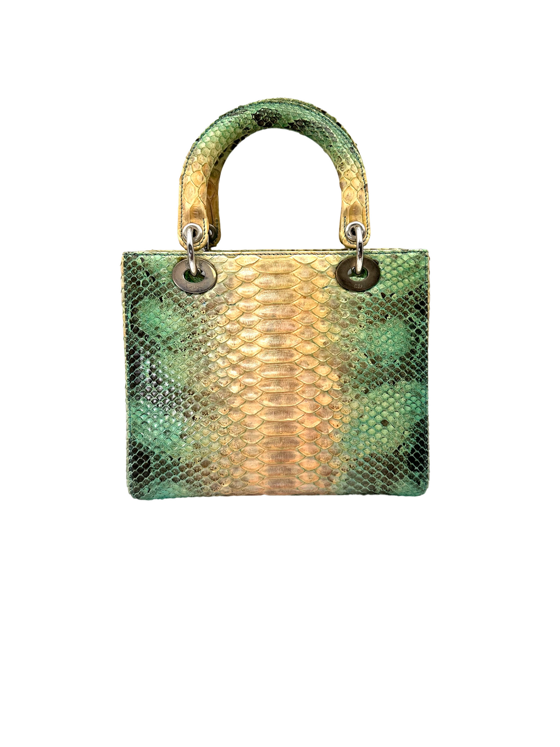 Christian Dior Lady Dior Green Gradient Python Leather Handle Bag With Silver Charms DR792