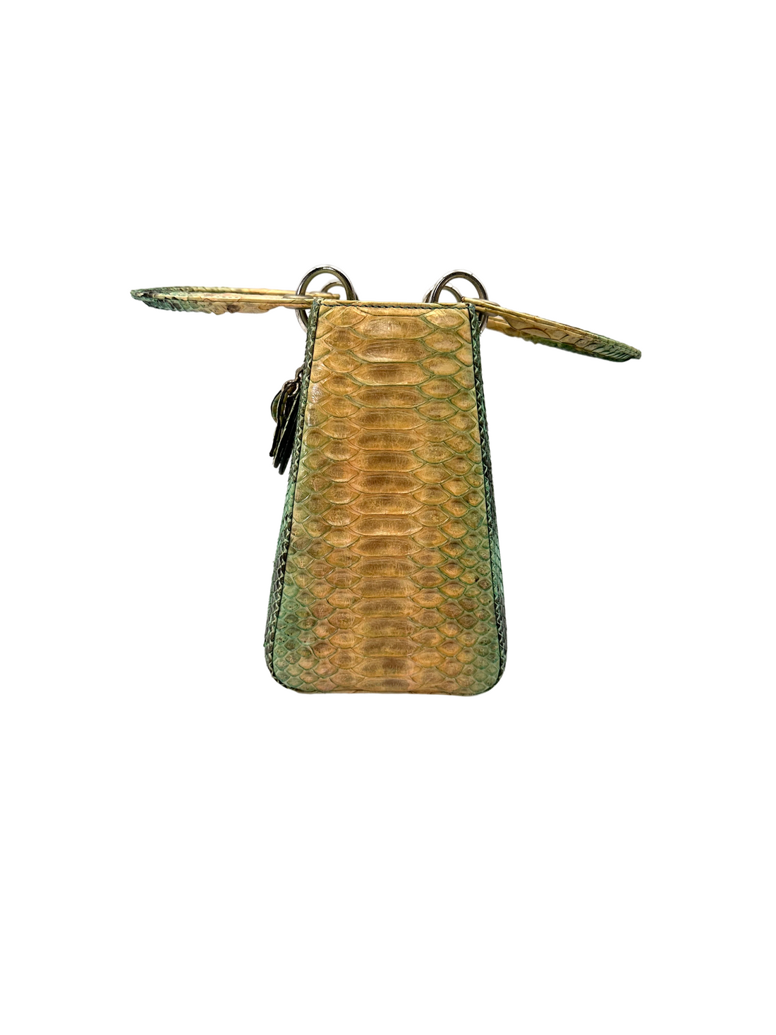 Christian Dior Lady Dior Green Gradient Python Leather Handle Bag With Silver Charms DR792