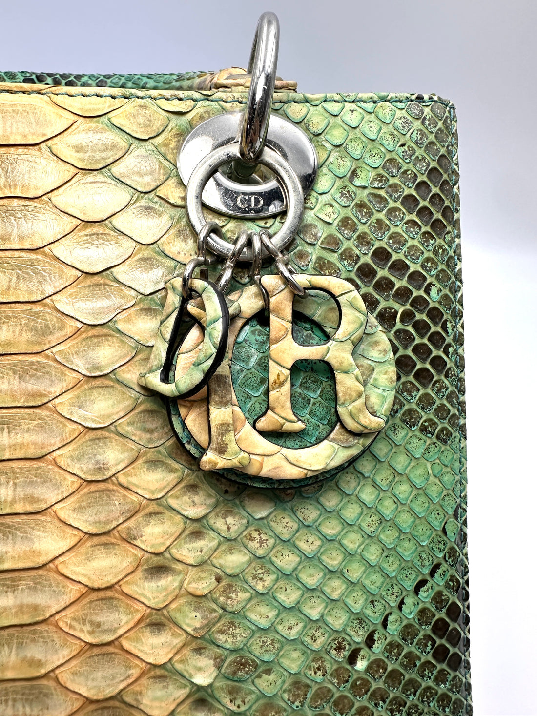 Christian Dior Lady Dior Green Gradient Python Leather Handle Bag With Silver Charms DR792