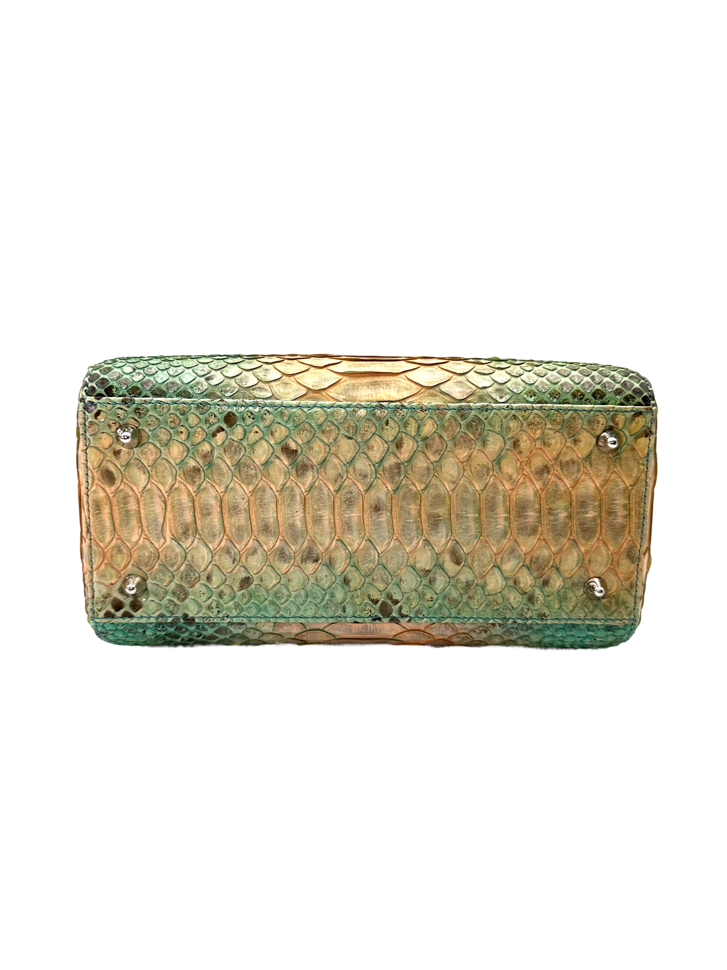 Christian Dior Lady Dior Green Gradient Python Leather Handle Bag With Silver Charms DR792