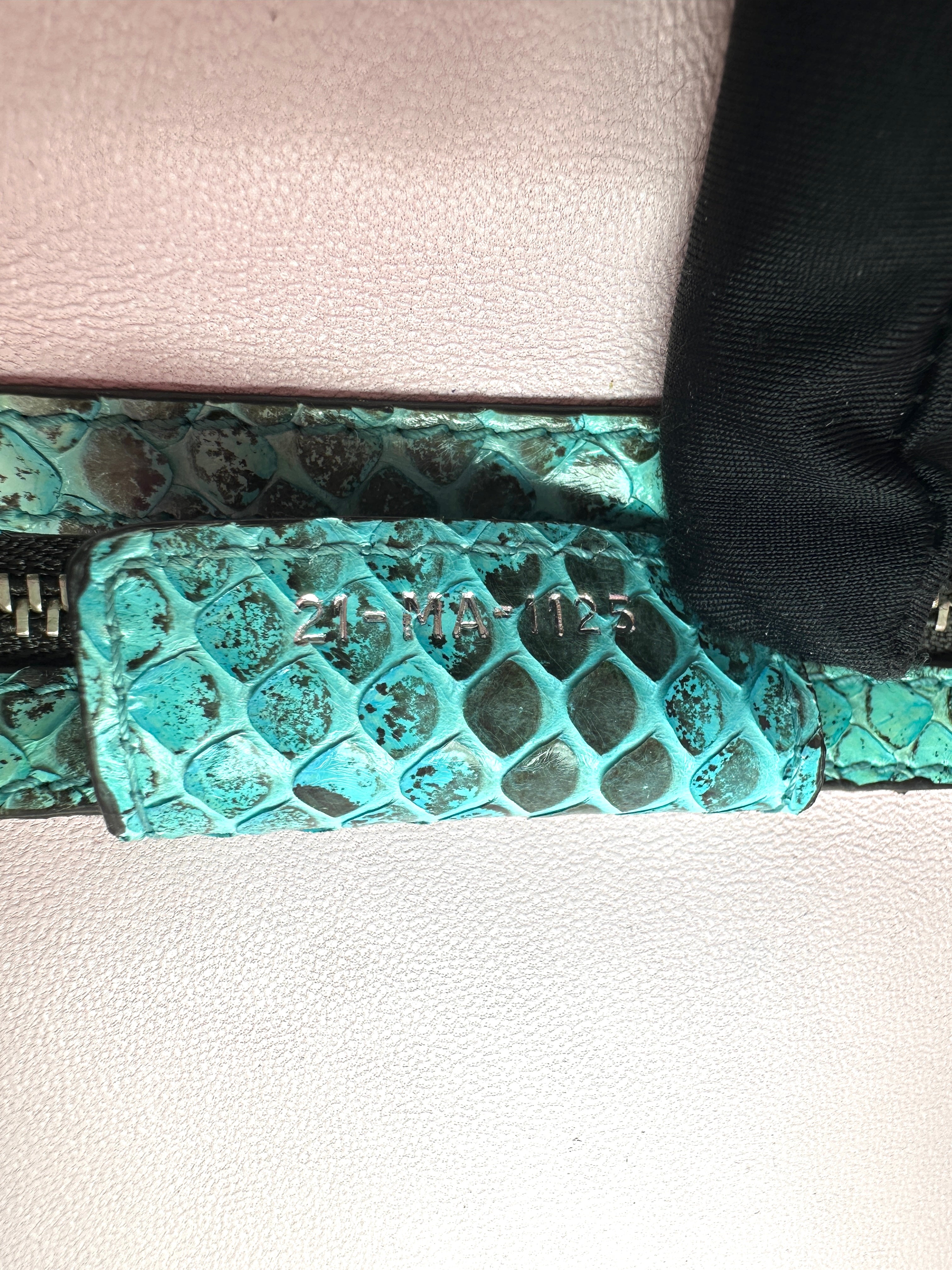 Christian Dior Lady Dior Green Gradient Python Leather Handle Bag With Silver Charms DR792