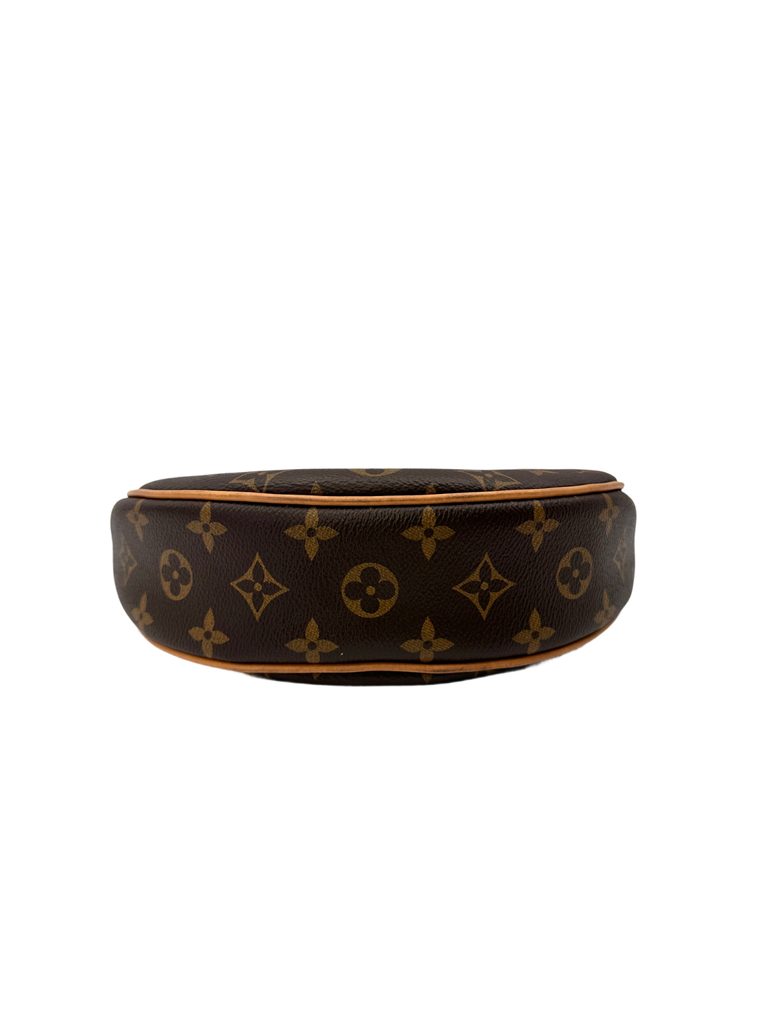 Louis Vuitton Loop Monogram Canvas Shoulder Bag LV3025