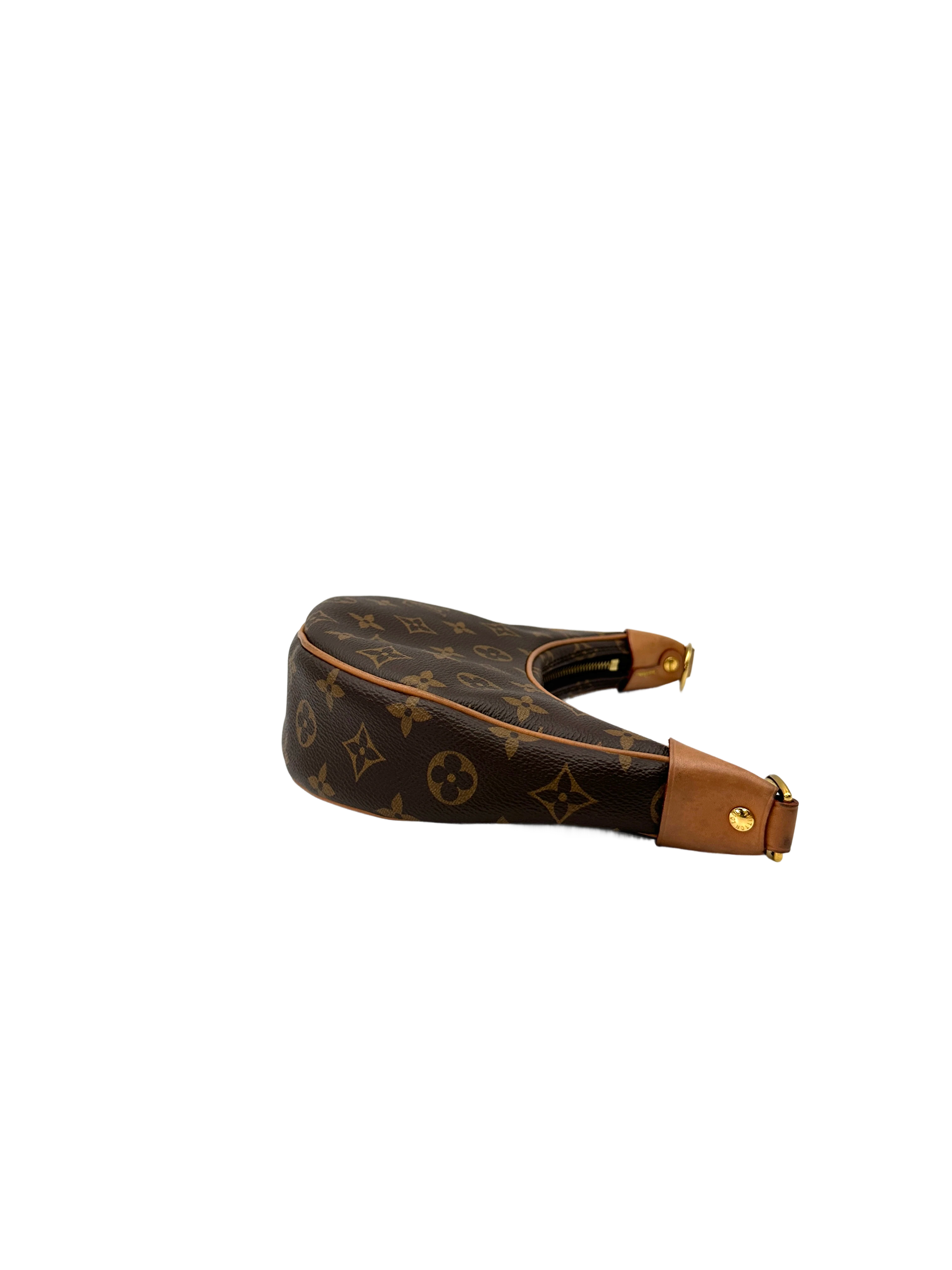 Louis Vuitton Loop Monogram Canvas Shoulder Bag LV3027