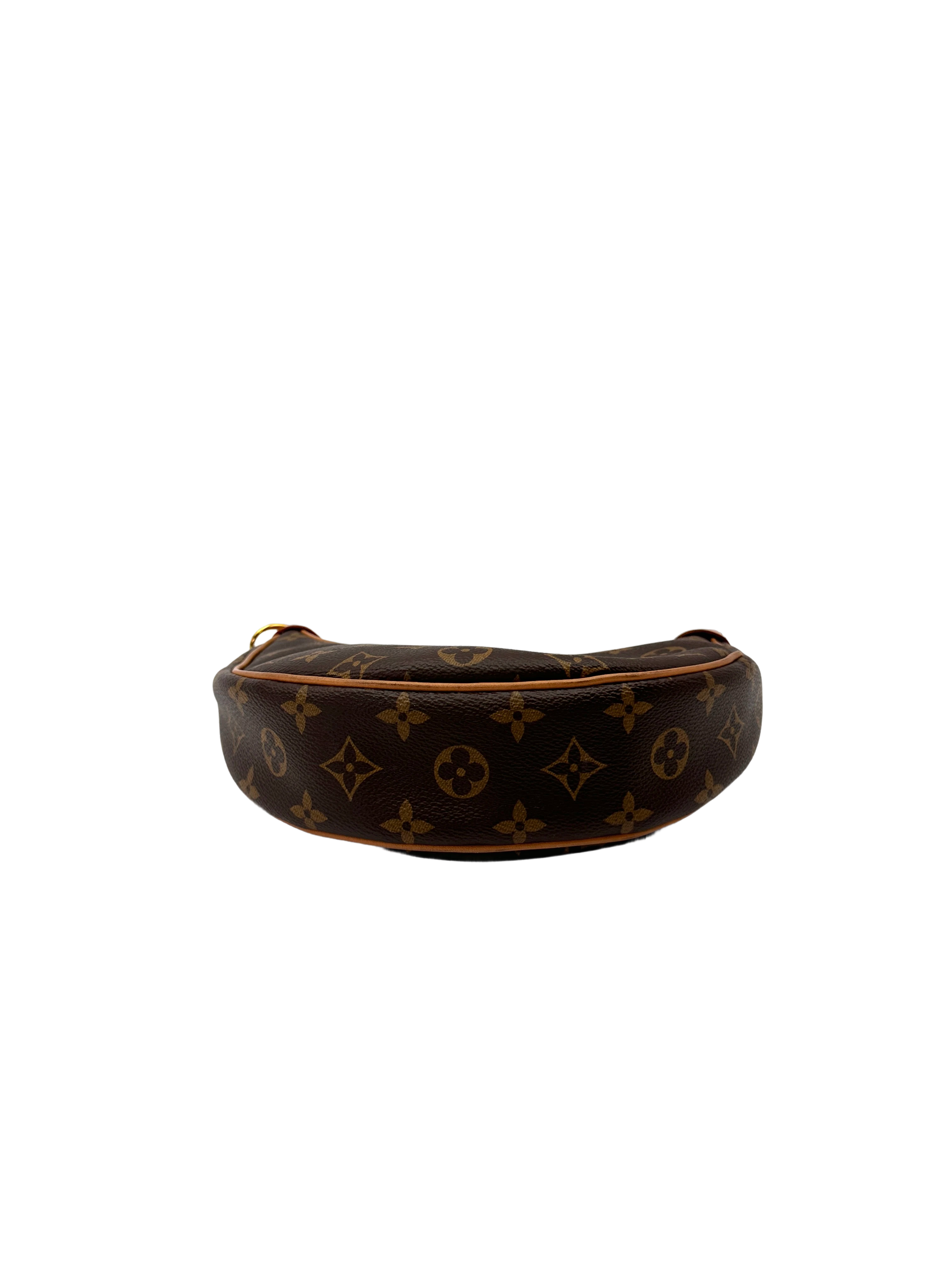 Louis Vuitton Loop Monogram Canvas Shoulder Bag LV3027