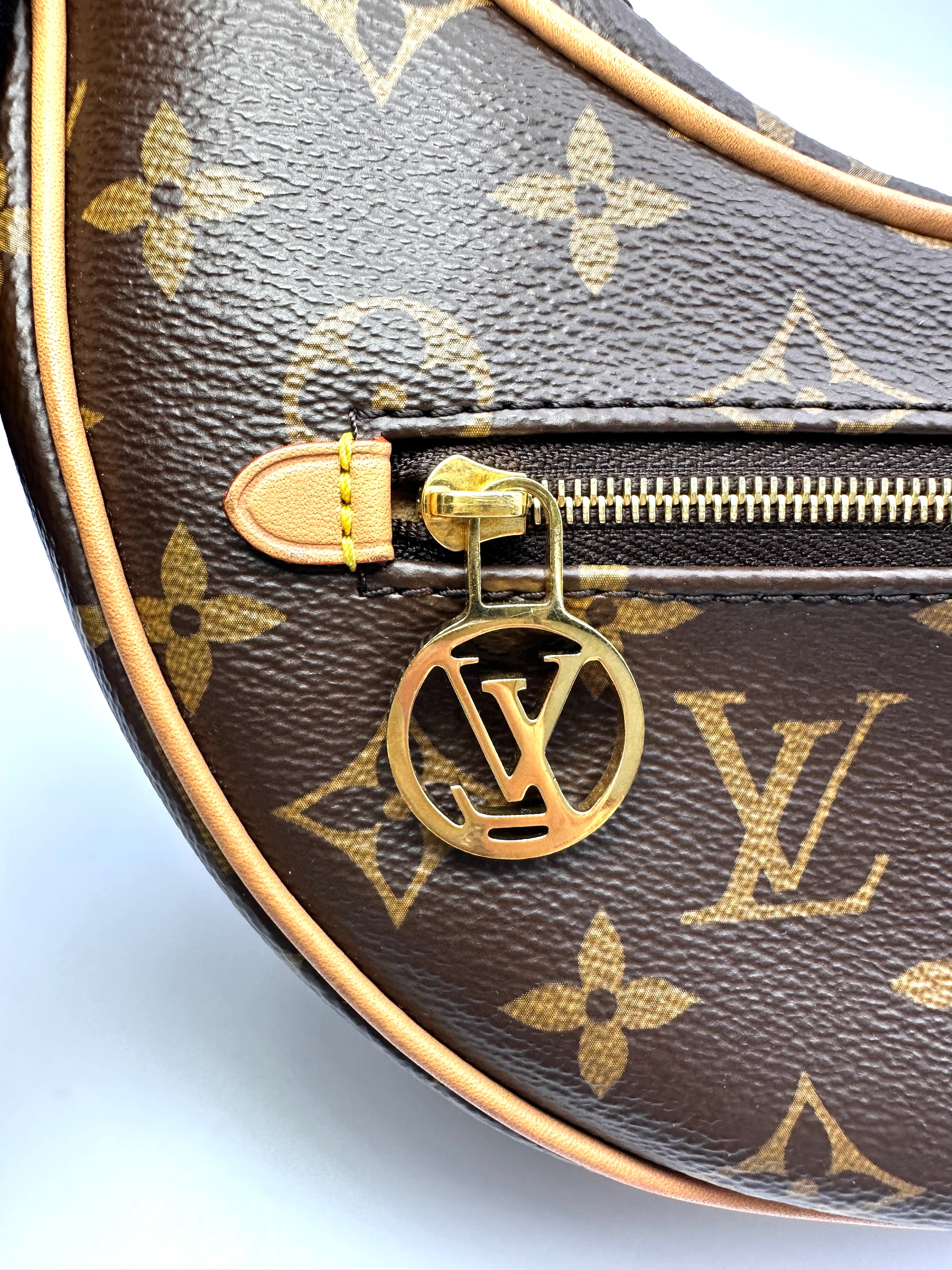 Louis Vuitton Loop Monogram Canvas Shoulder Bag LV3029