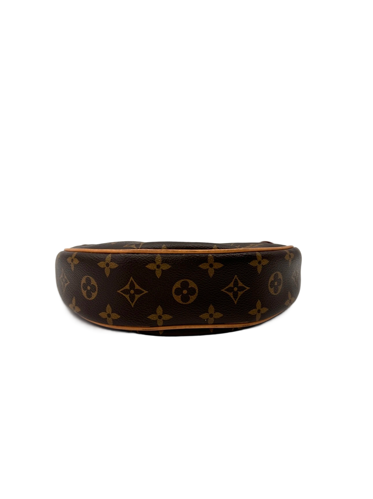 Louis Vuitton Loop Monogram Canvas Shoulder Bag LV3030