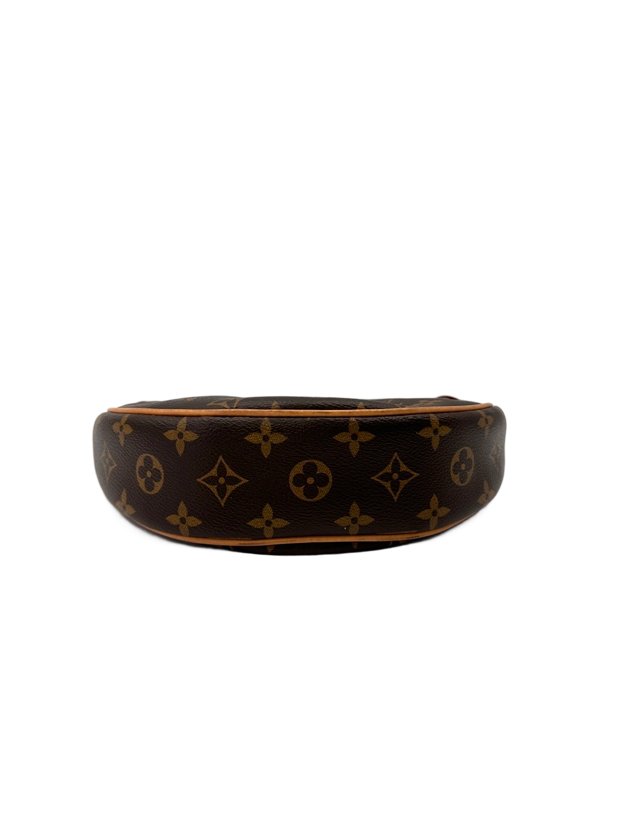 Louis Vuitton Loop Monogram Canvas Shoulder Bag LV3028