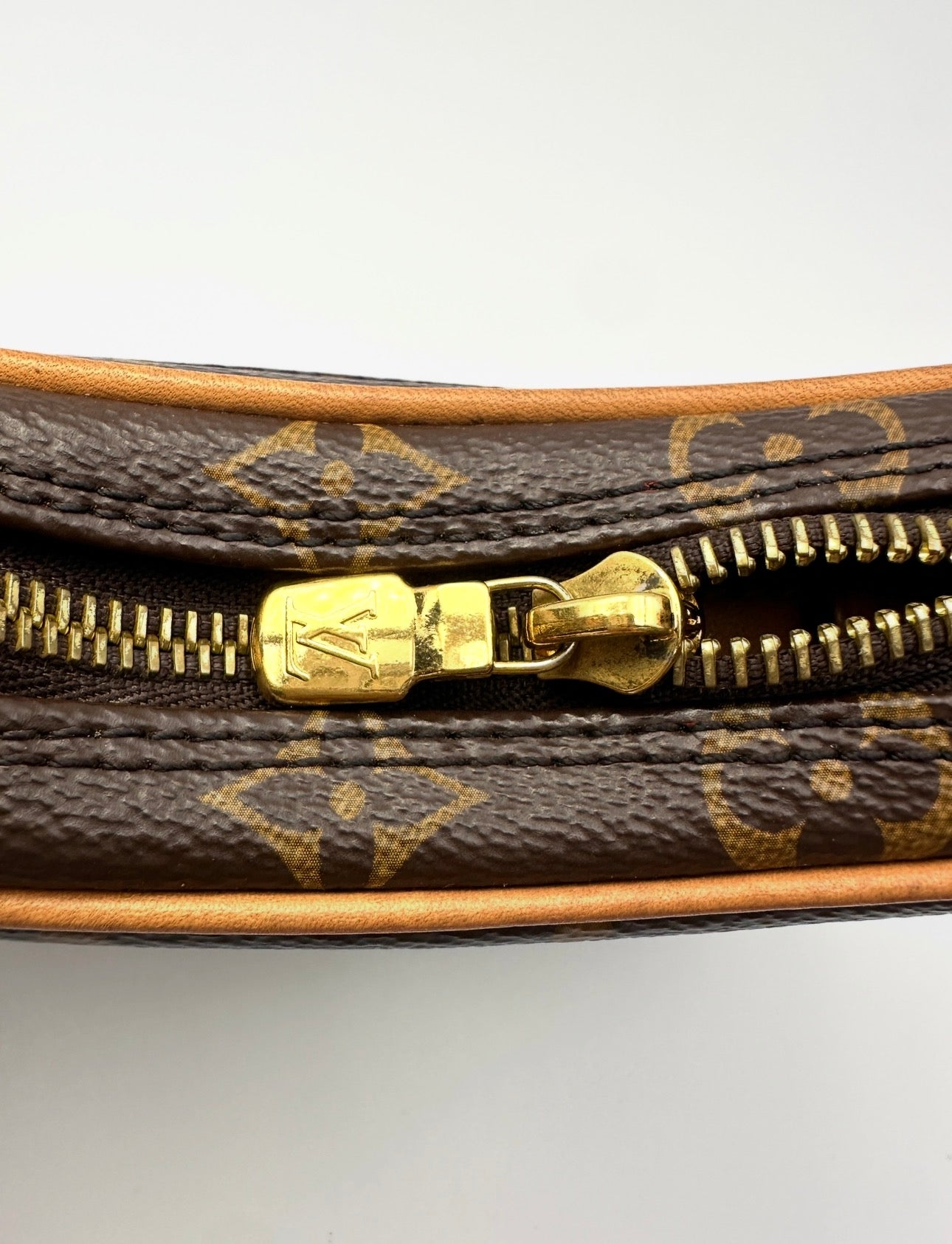 Louis Vuitton Loop Monogram Canvas Shoulder Bag LV3028