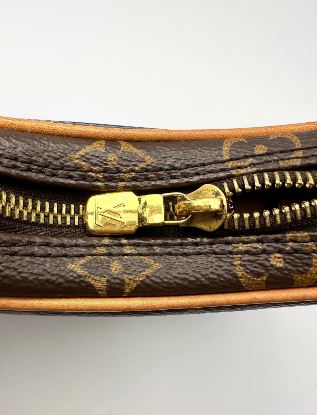 Louis Vuitton Loop Monogram Canvas Shoulder Bag LV3028