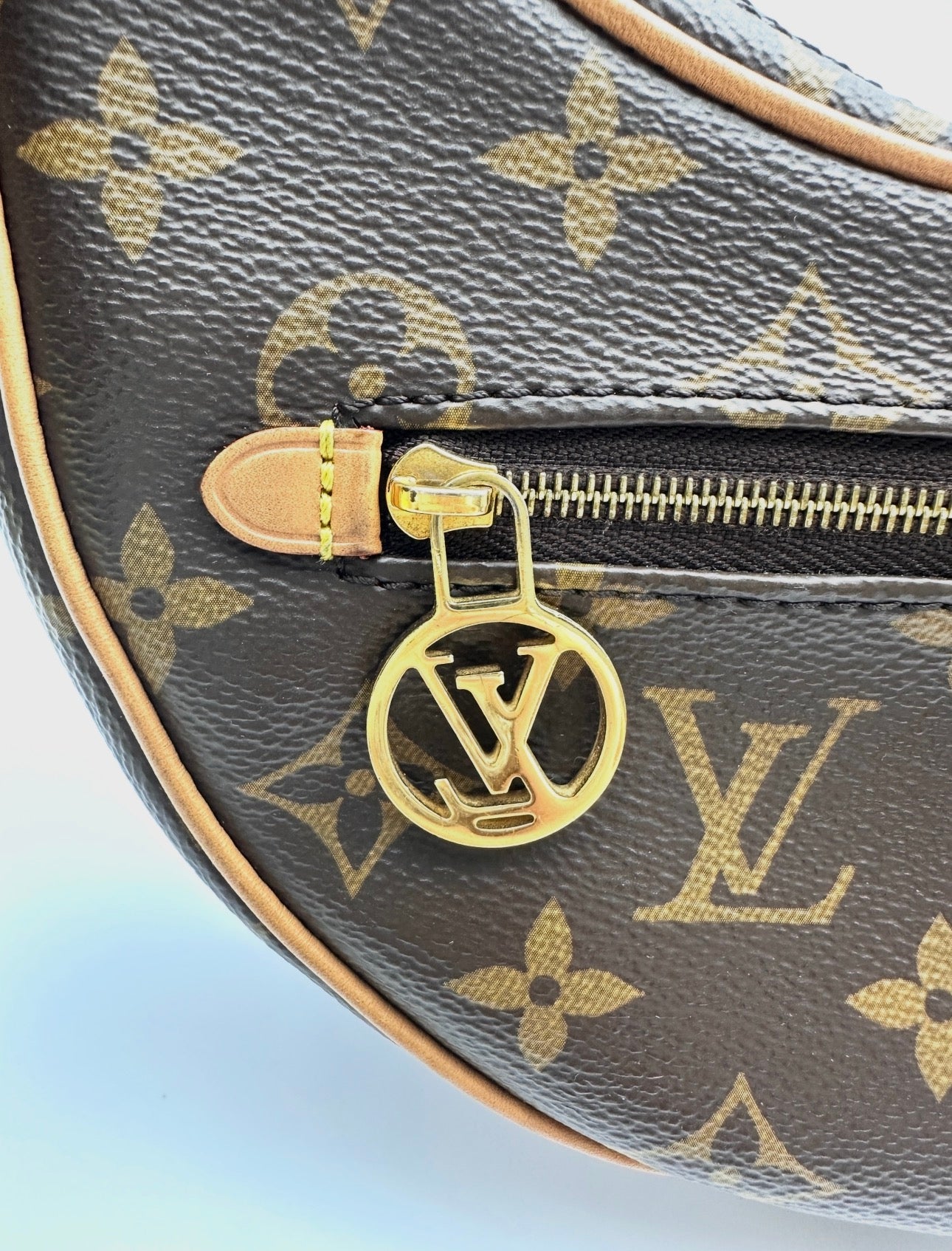 Louis Vuitton Loop Monogram Canvas Shoulder Bag LV3028