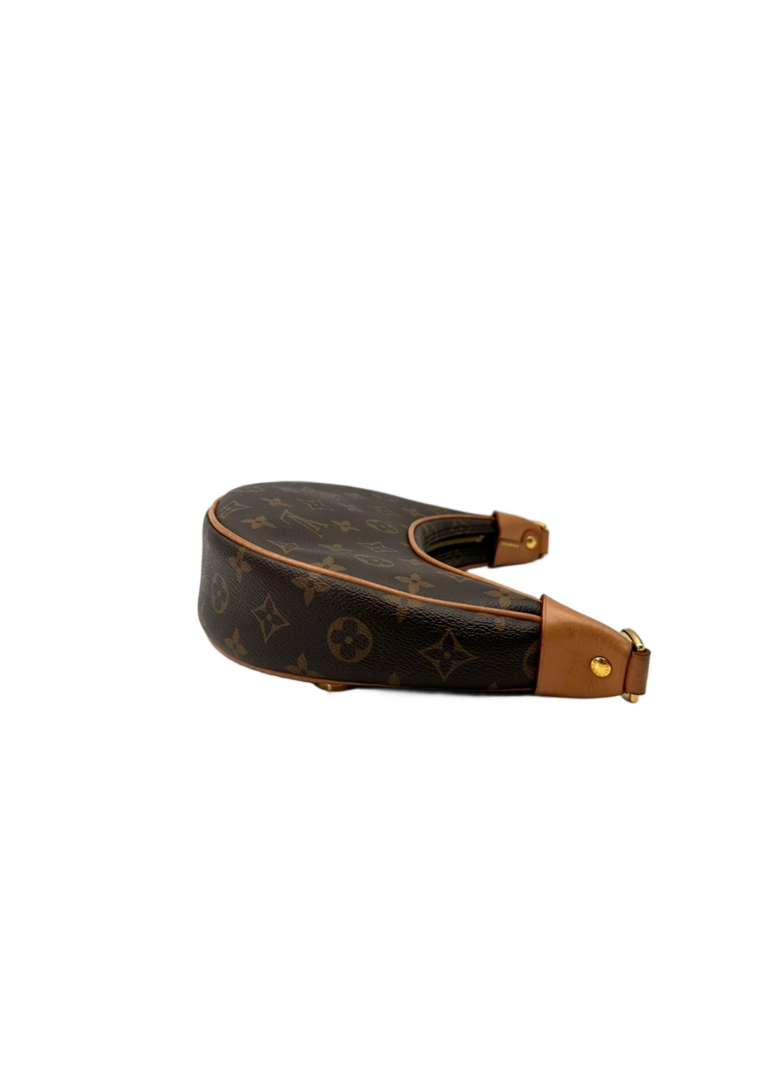 Louis Vuitton Loop Monogram Canvas Shoulder Bag LV3029