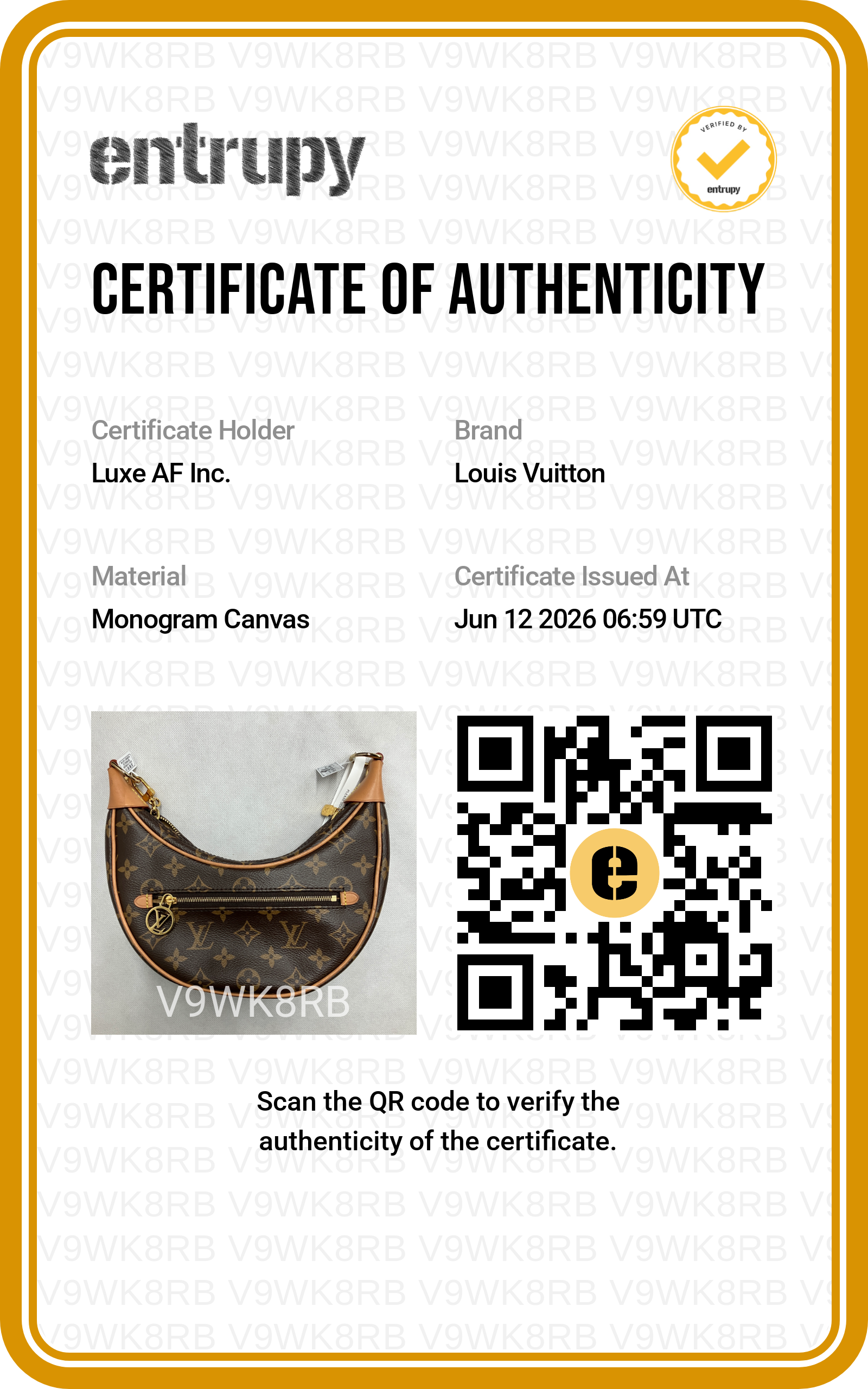 Louis Vuitton Loop Monogram Canvas Shoulder Bag LV3030