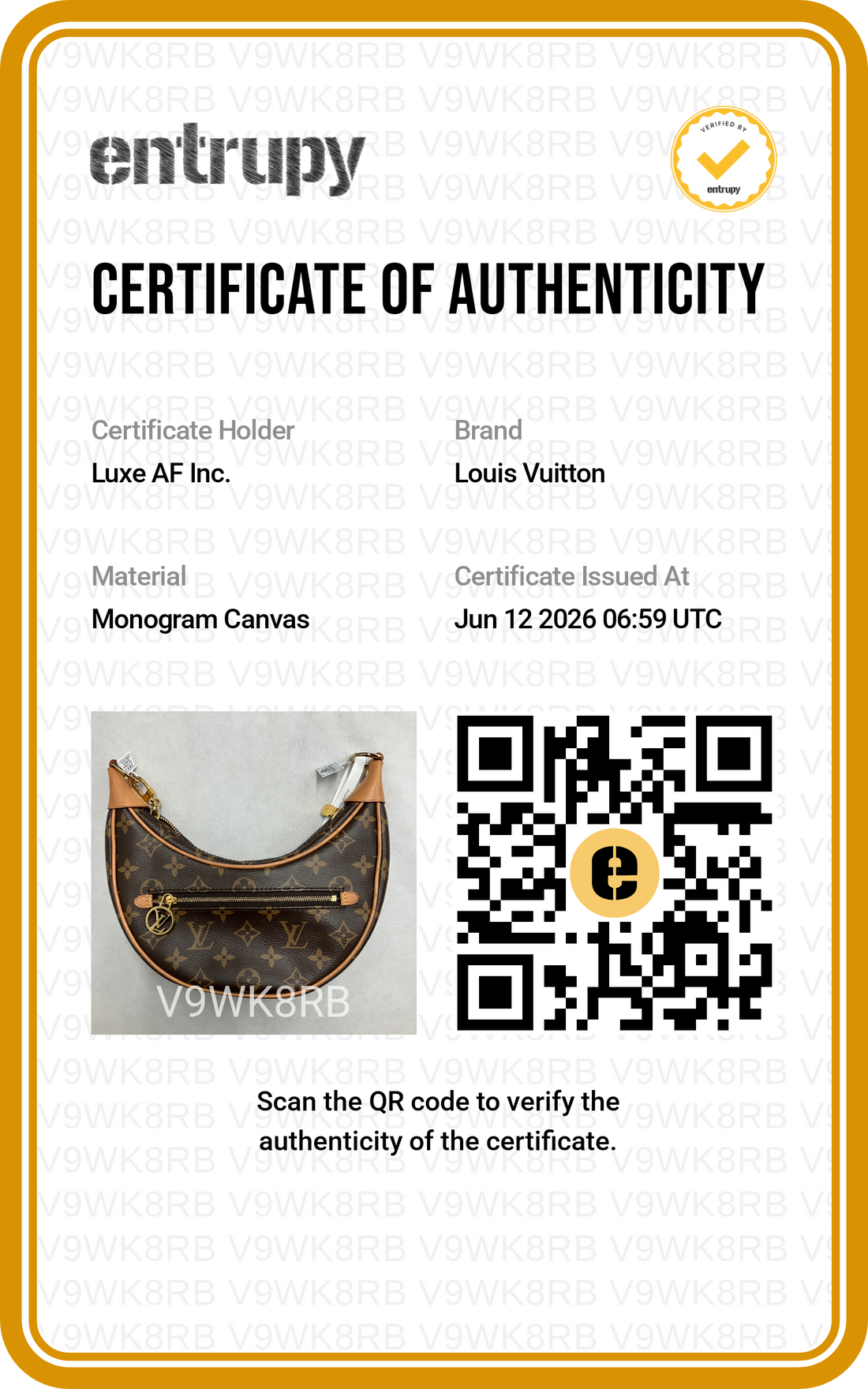 Louis Vuitton Loop Monogram Canvas Shoulder Bag LV3030