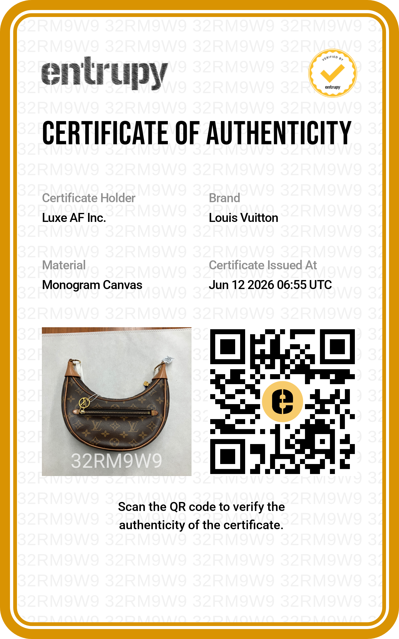Louis Vuitton Loop Monogram Canvas Shoulder Bag LV3026