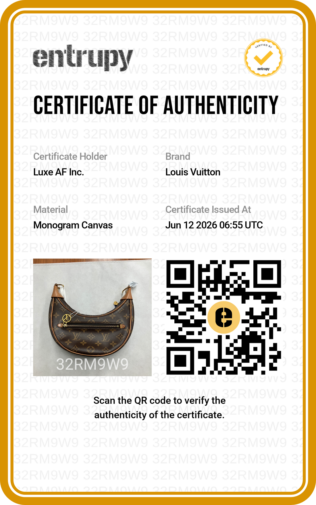 Louis Vuitton Loop Monogram Canvas Shoulder Bag LV3026