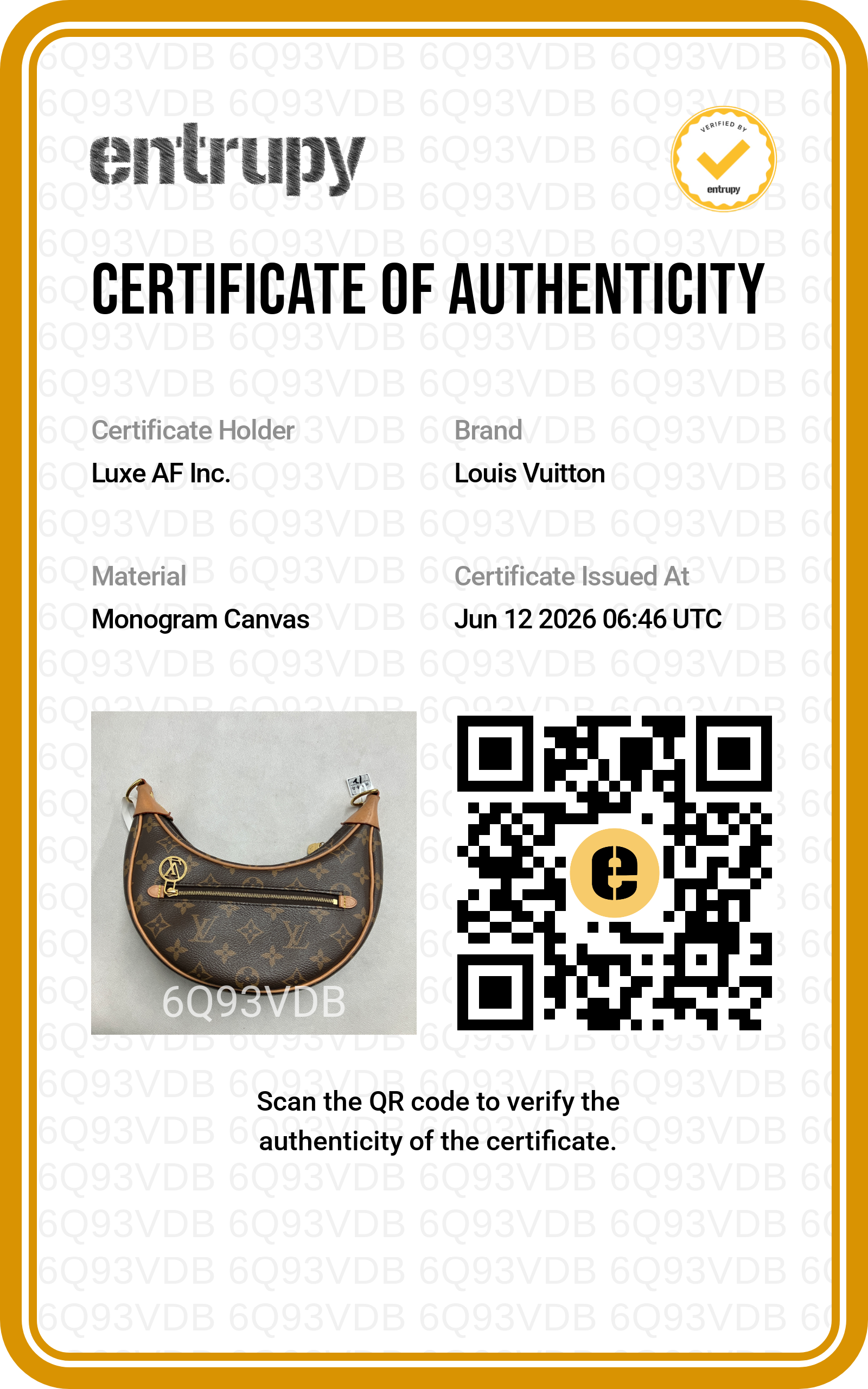 Louis Vuitton Loop Monogram Canvas Shoulder Bag LV3028