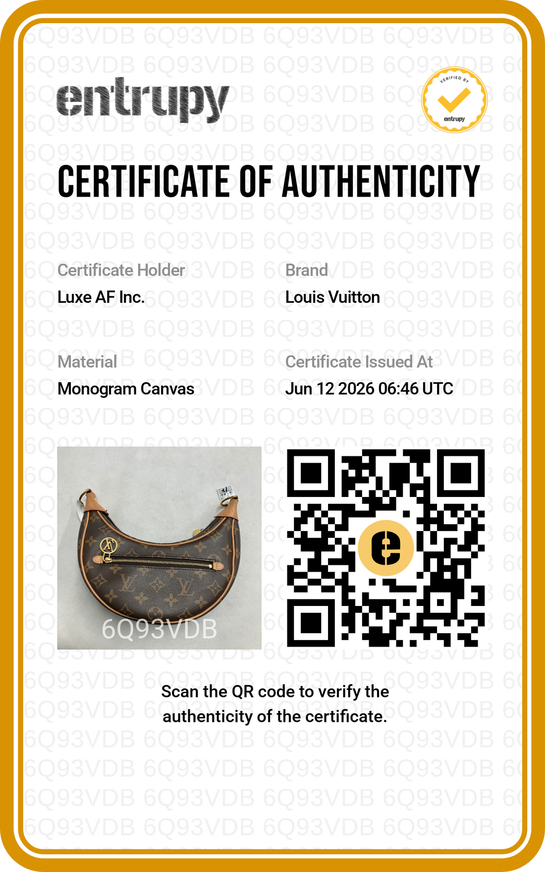Louis Vuitton Loop Monogram Canvas Shoulder Bag LV3028