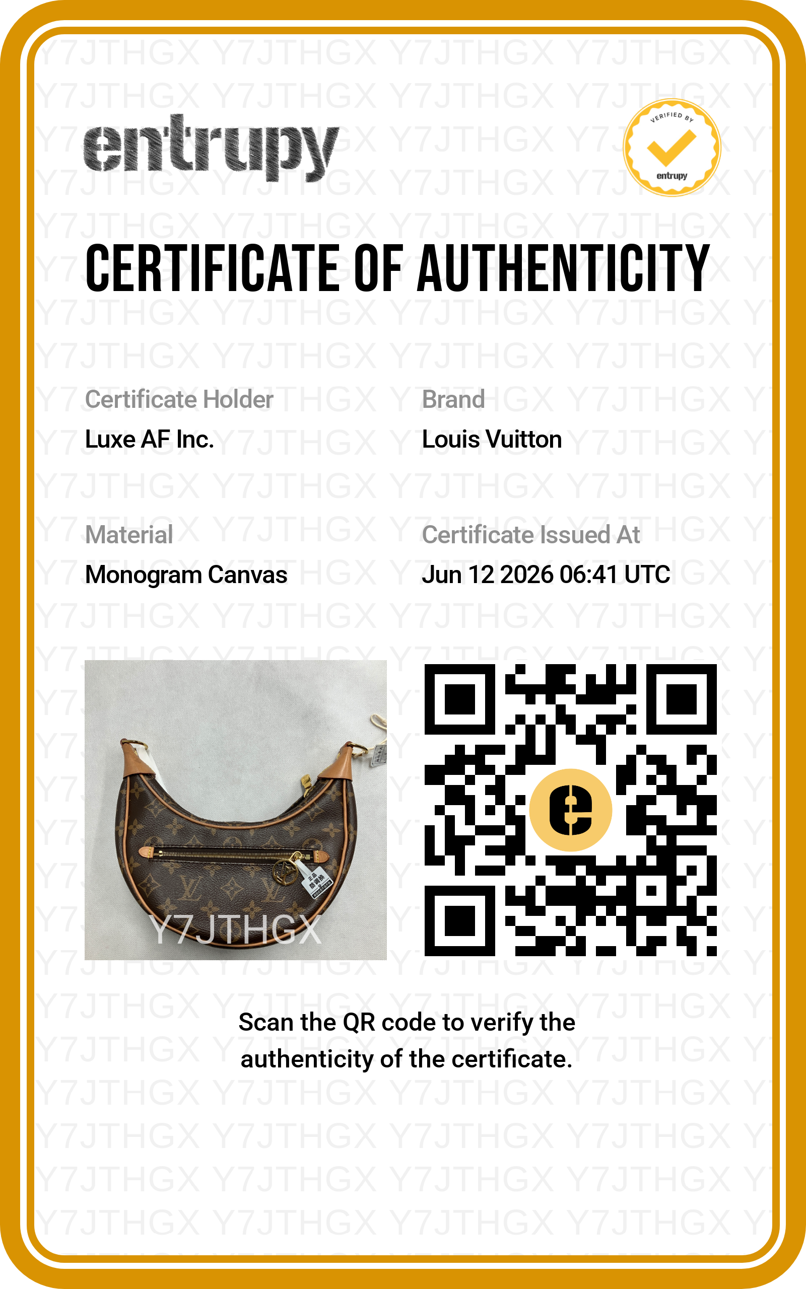 Louis Vuitton Loop Monogram Canvas Shoulder Bag LV3027