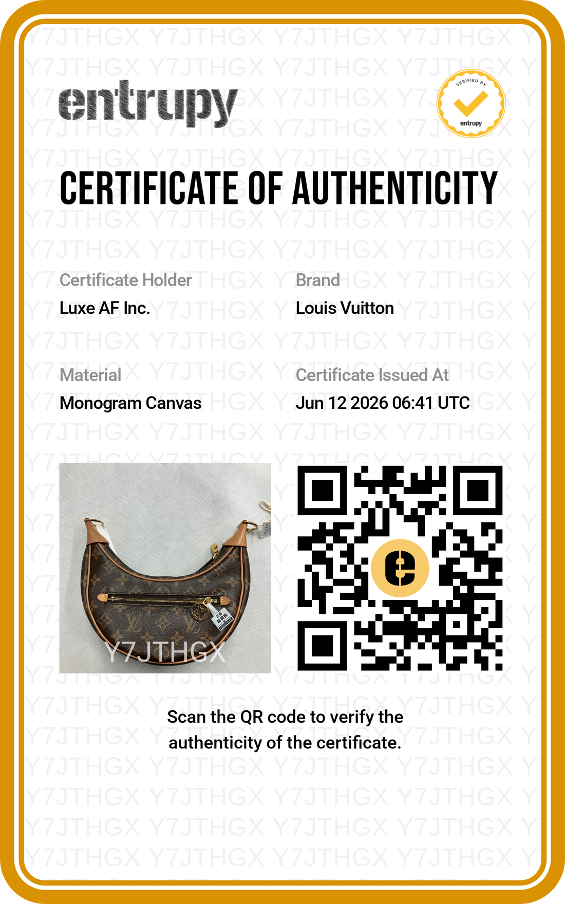 Louis Vuitton Loop Monogram Canvas Shoulder Bag LV3027